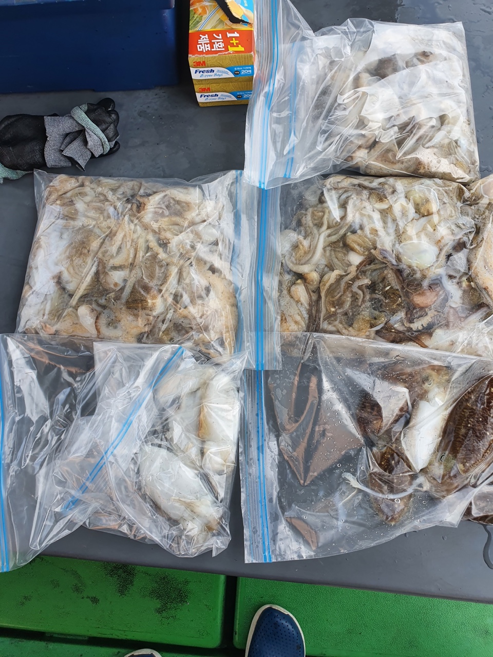 10월1일 뉴궁리호 쭈꾸미 조황