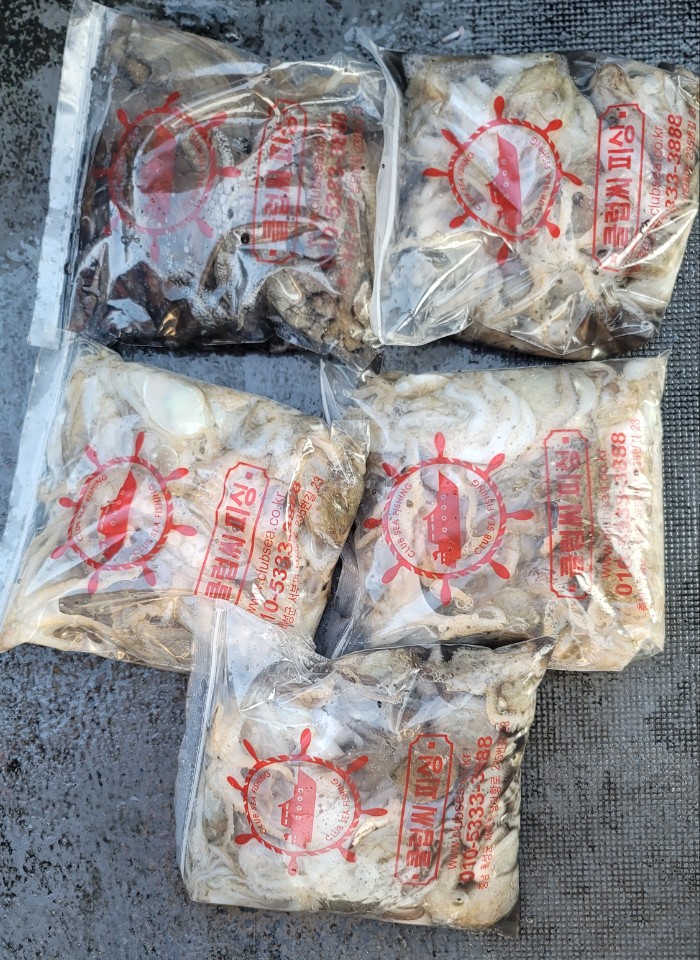 10월 12일 대성2호 쭈꾸미조황