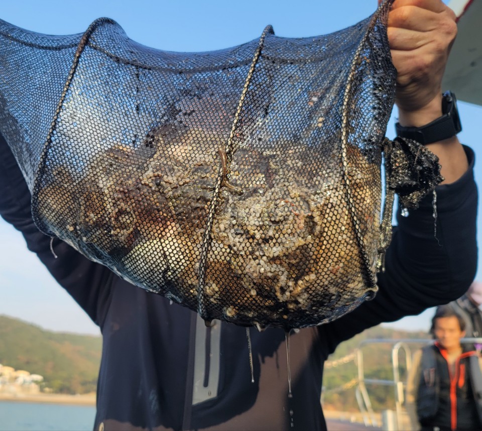 10월 31일 대성2호 쭈꾸미조황