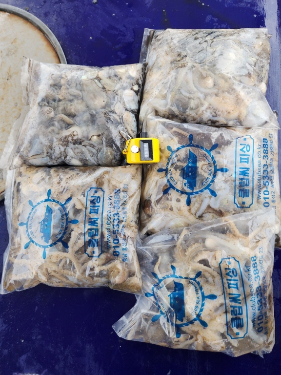 10월16일 뉴대성호 주꾸미조황