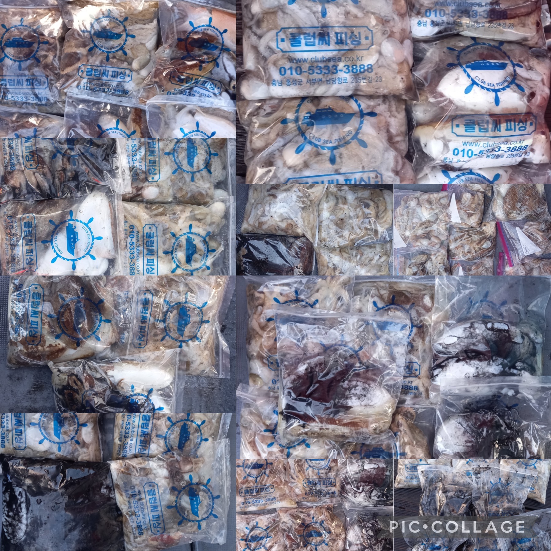 10월 08일 레드원호 주꾸미 조황