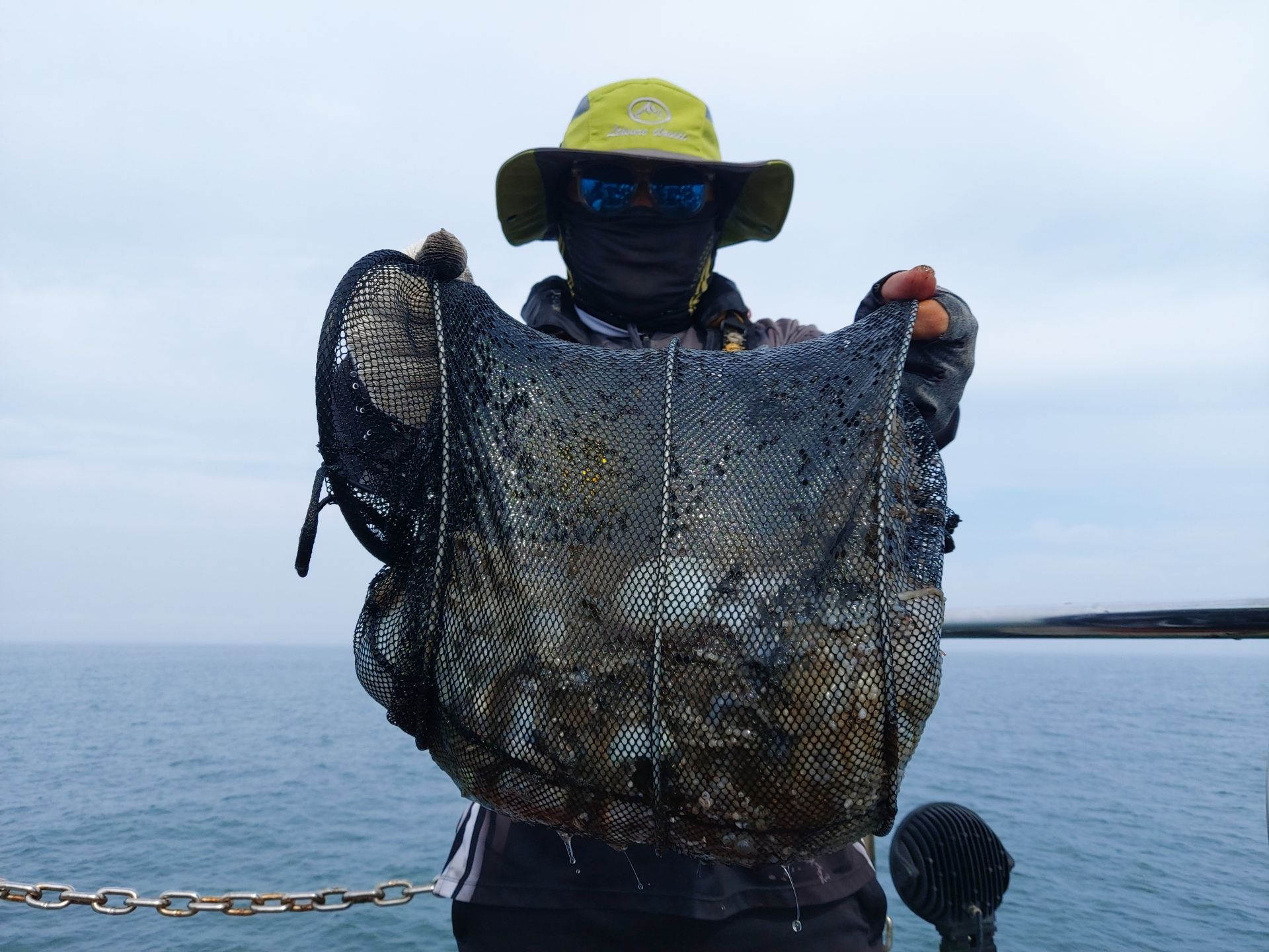 10월 1일 화성호 주꾸미  조황~