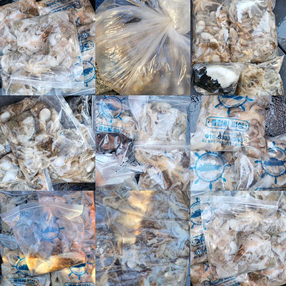 10월 19일 대성호 주꾸미조황입니다