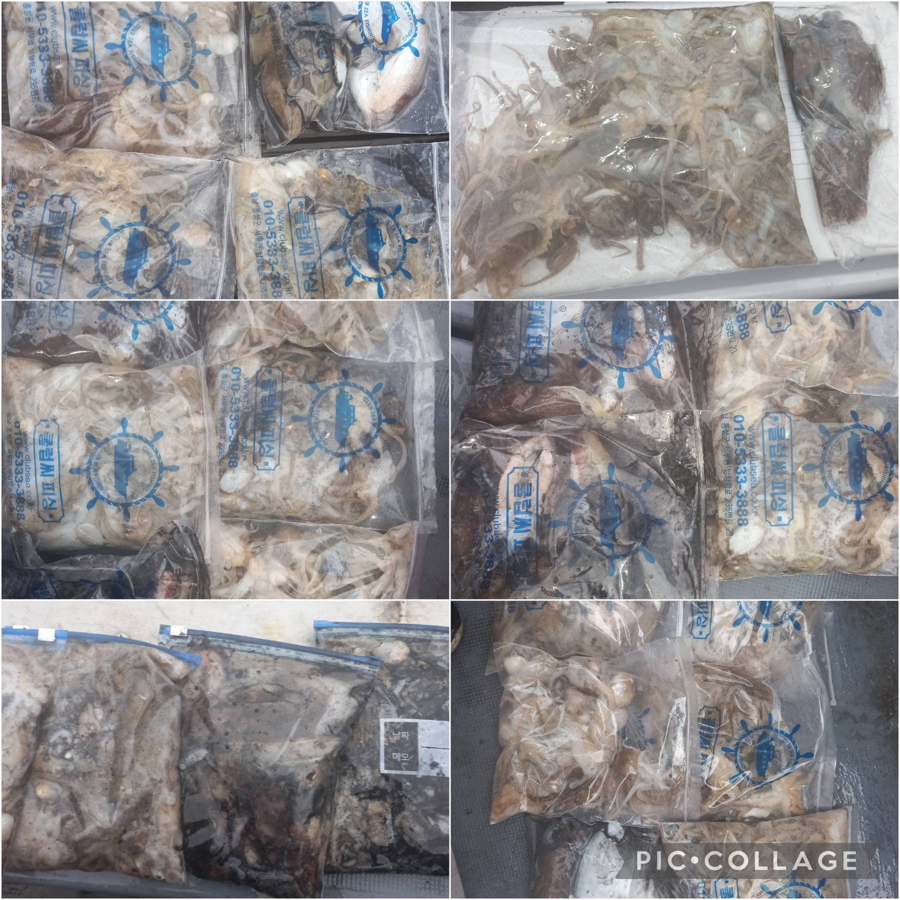 10월 02일 레드원호 주꾸미 조황