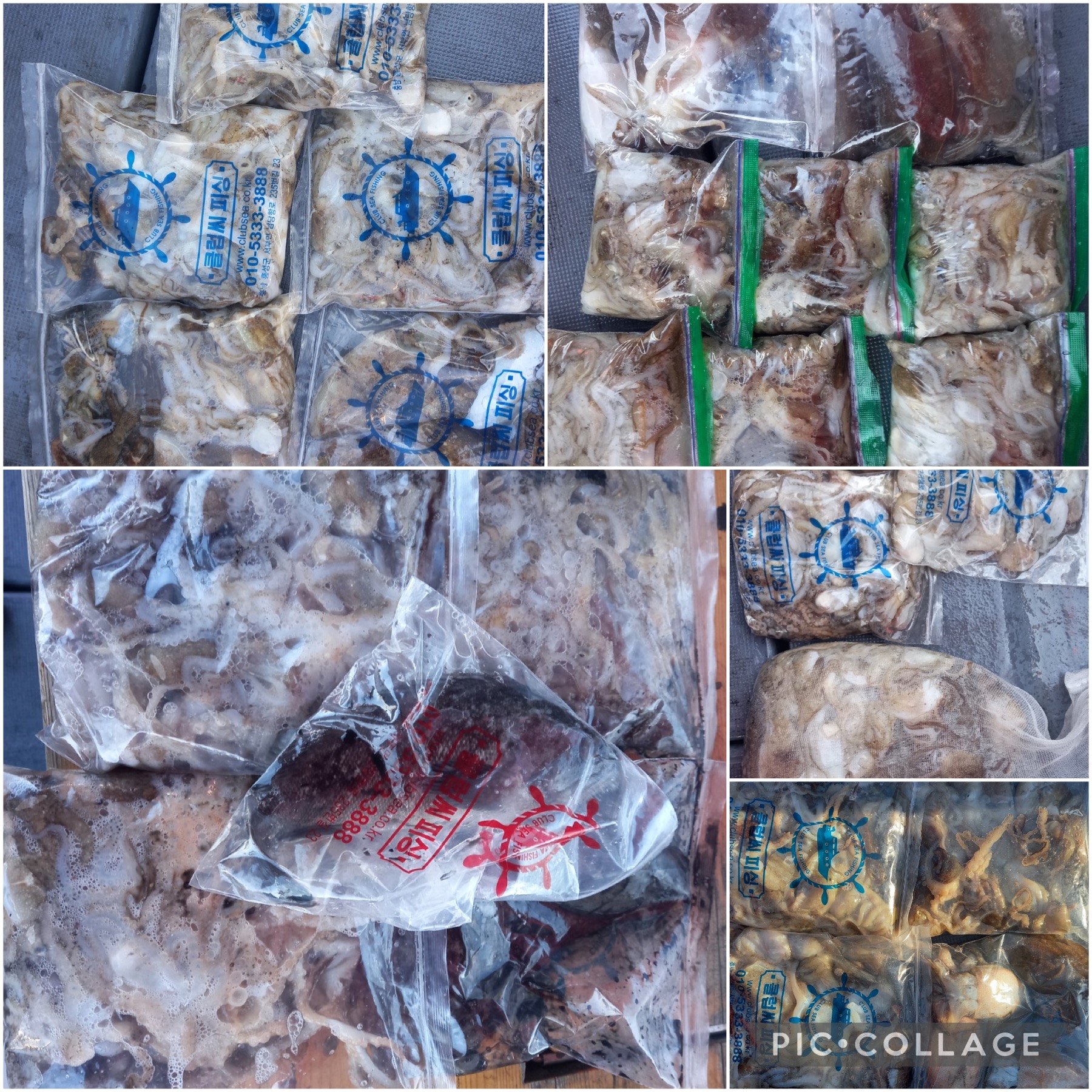 10월 18일 레드원호 주꾸미 조황