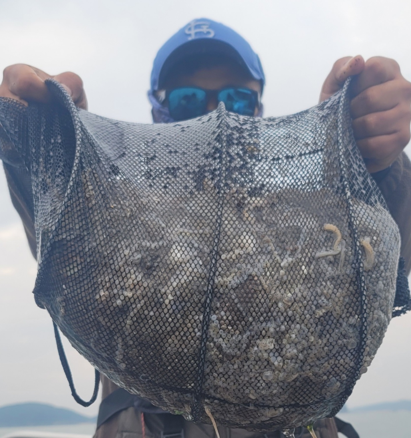 10월 16일 대성2호 쭈꾸미조황