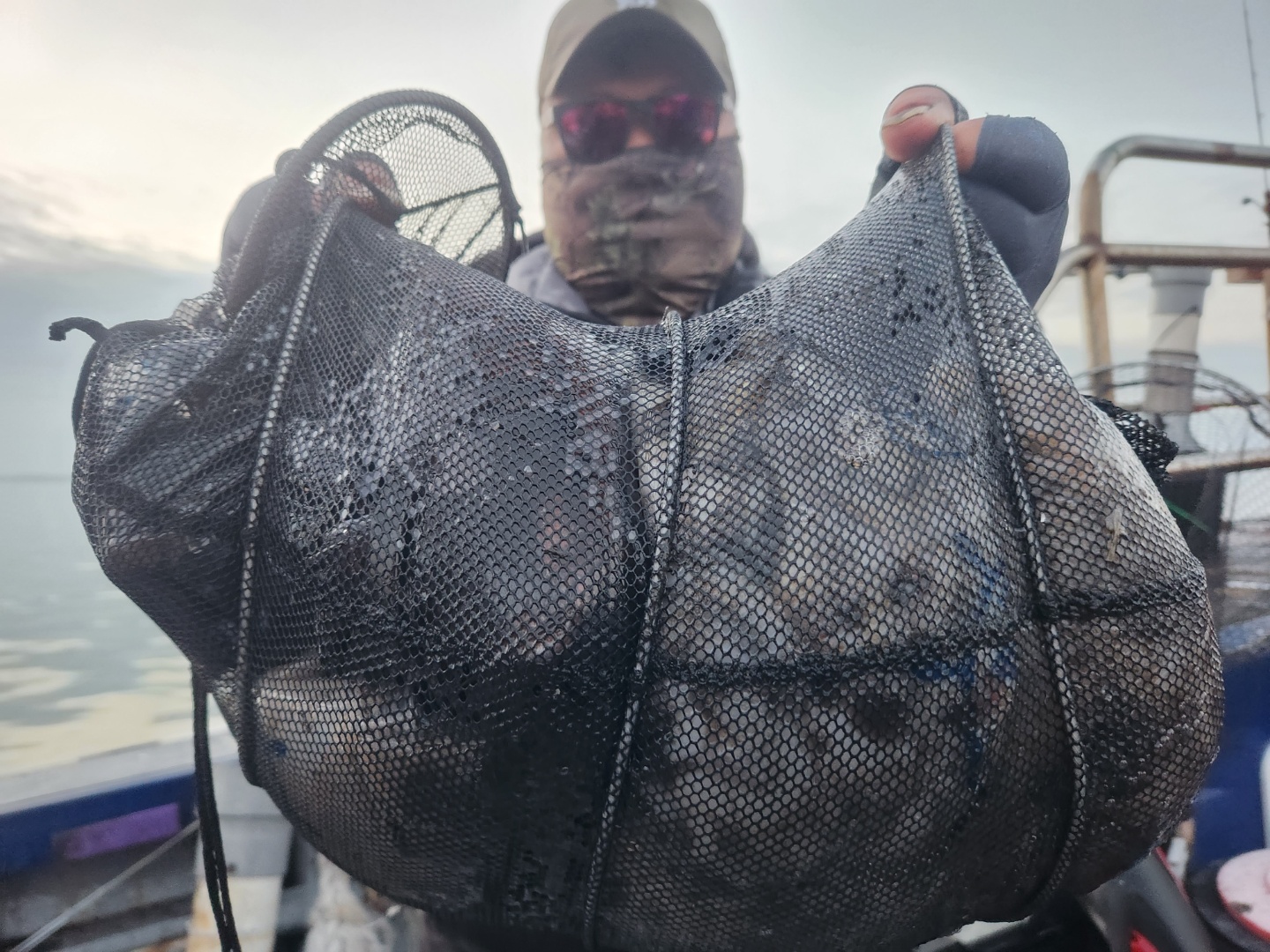 11월19일 뉴대성호 주꾸미조황