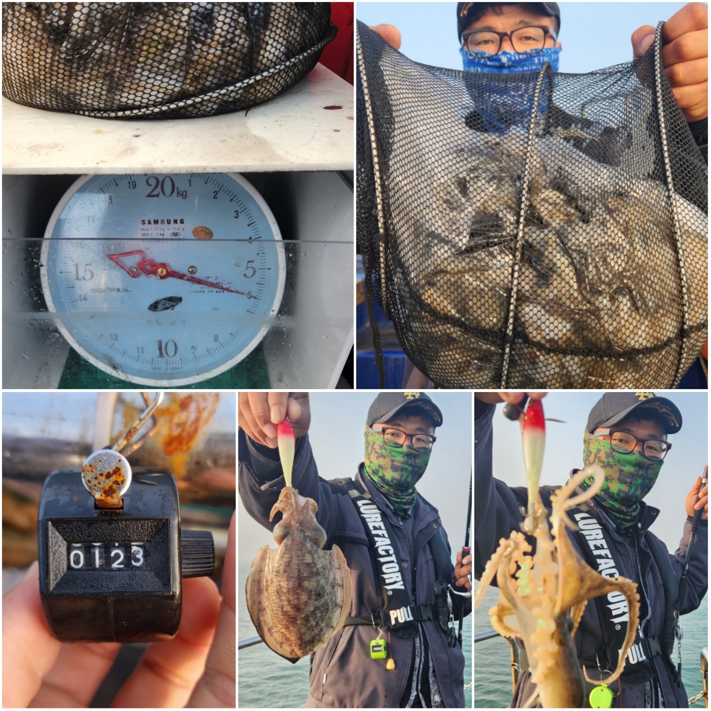 11월1일 뉴대성호 주꾸미조황