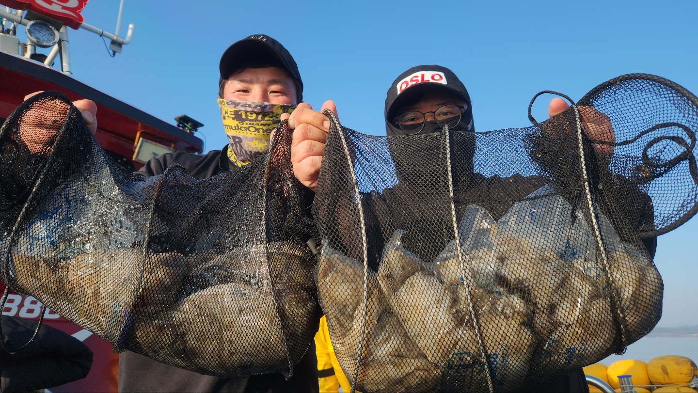 11월11일 뉴대성호 주꾸미조황