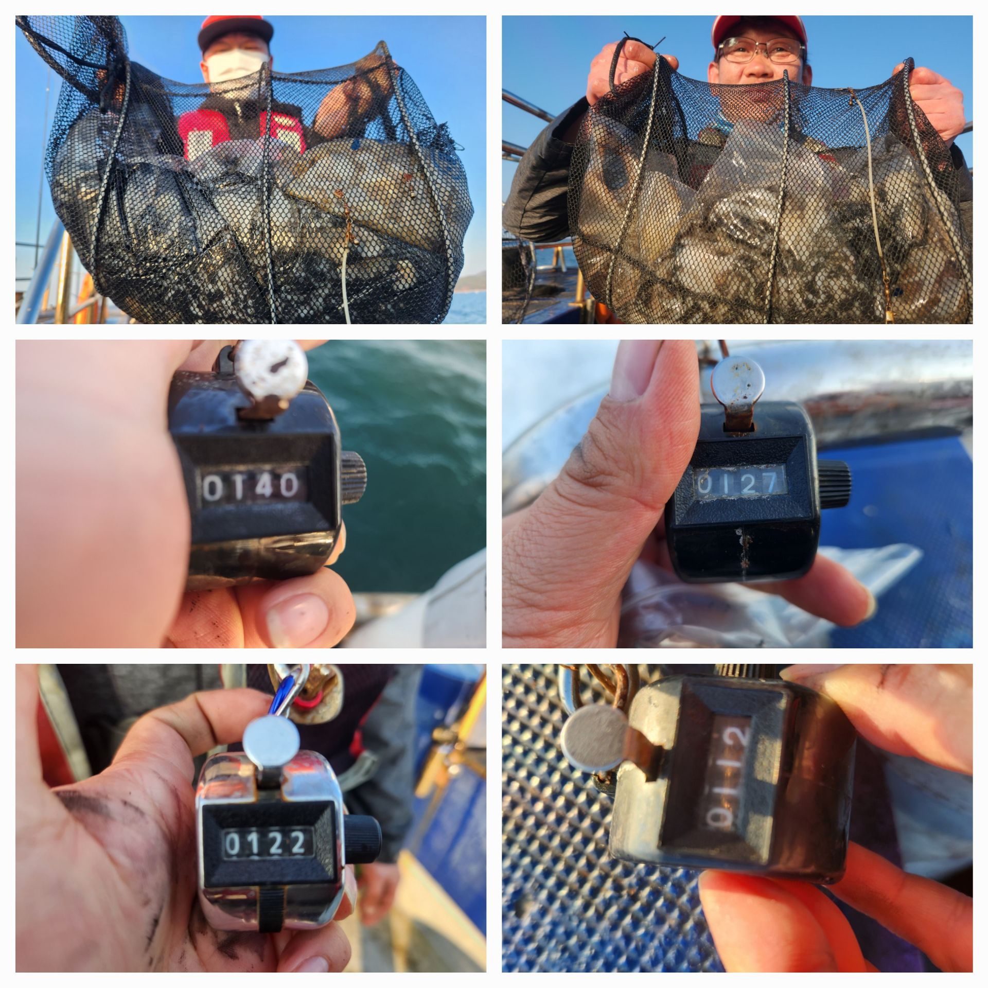 11월17일 뉴대성호 주꾸미조황