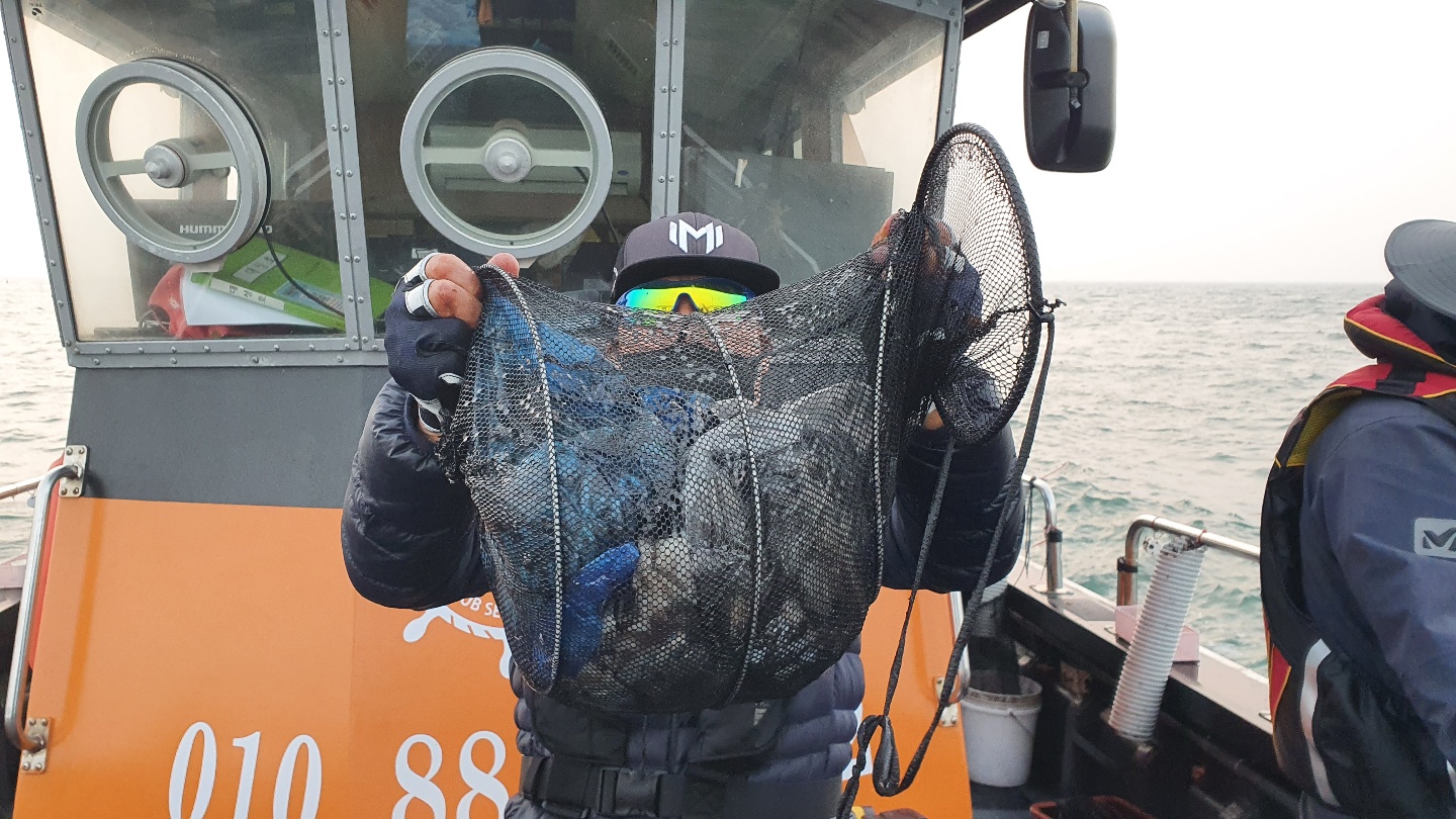 11월 1일 대성호 주꾸미조황입니다