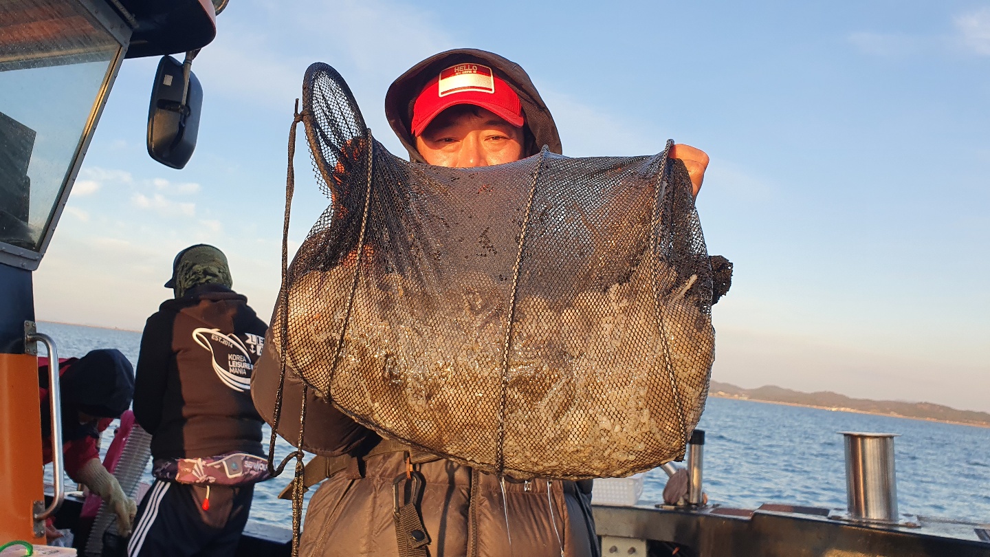 11월 6일 대성호 주꾸미조황입니다