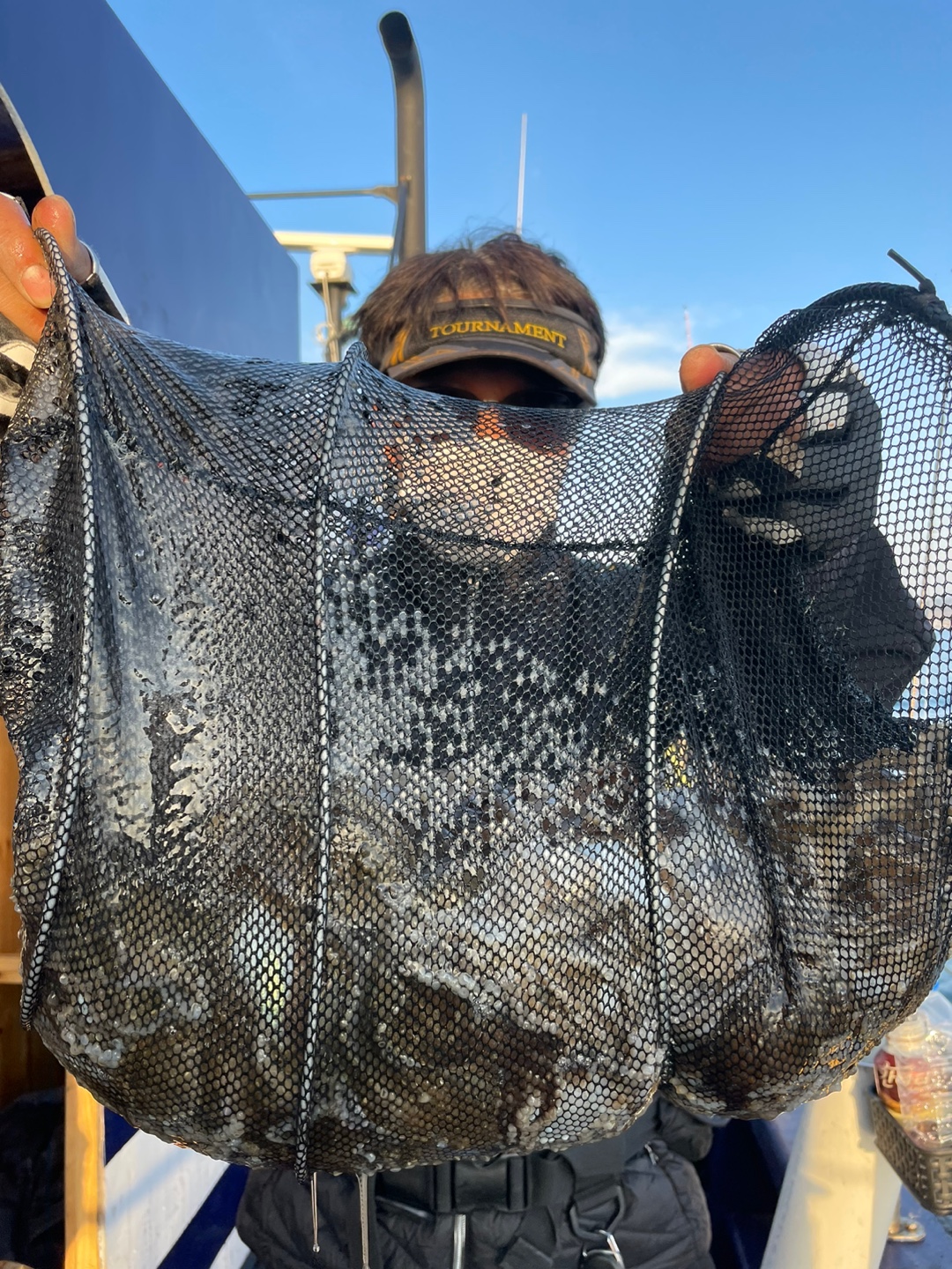 11월19일 블루원호 주꾸미조황