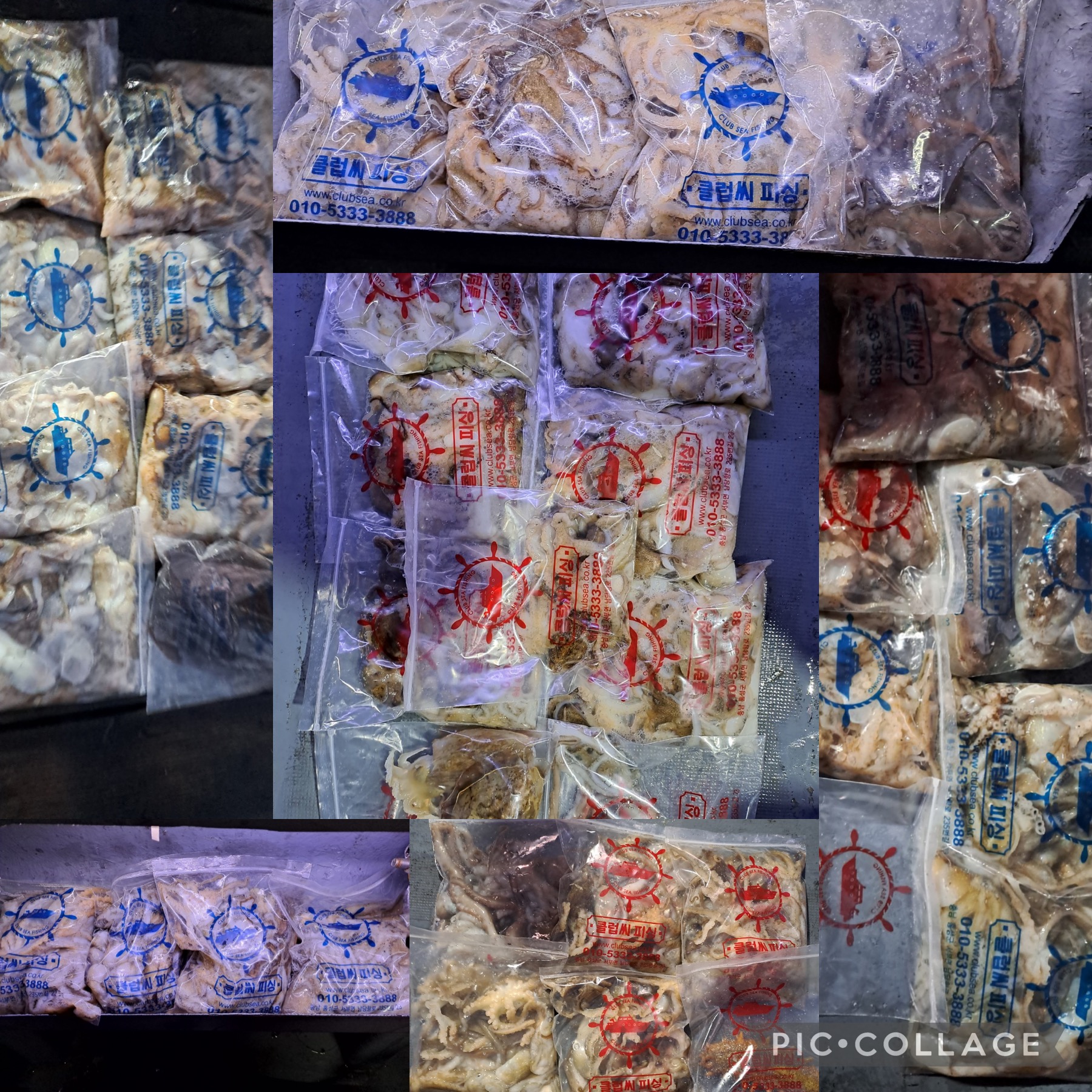 11월 19일 레드원호 주꾸미 조황