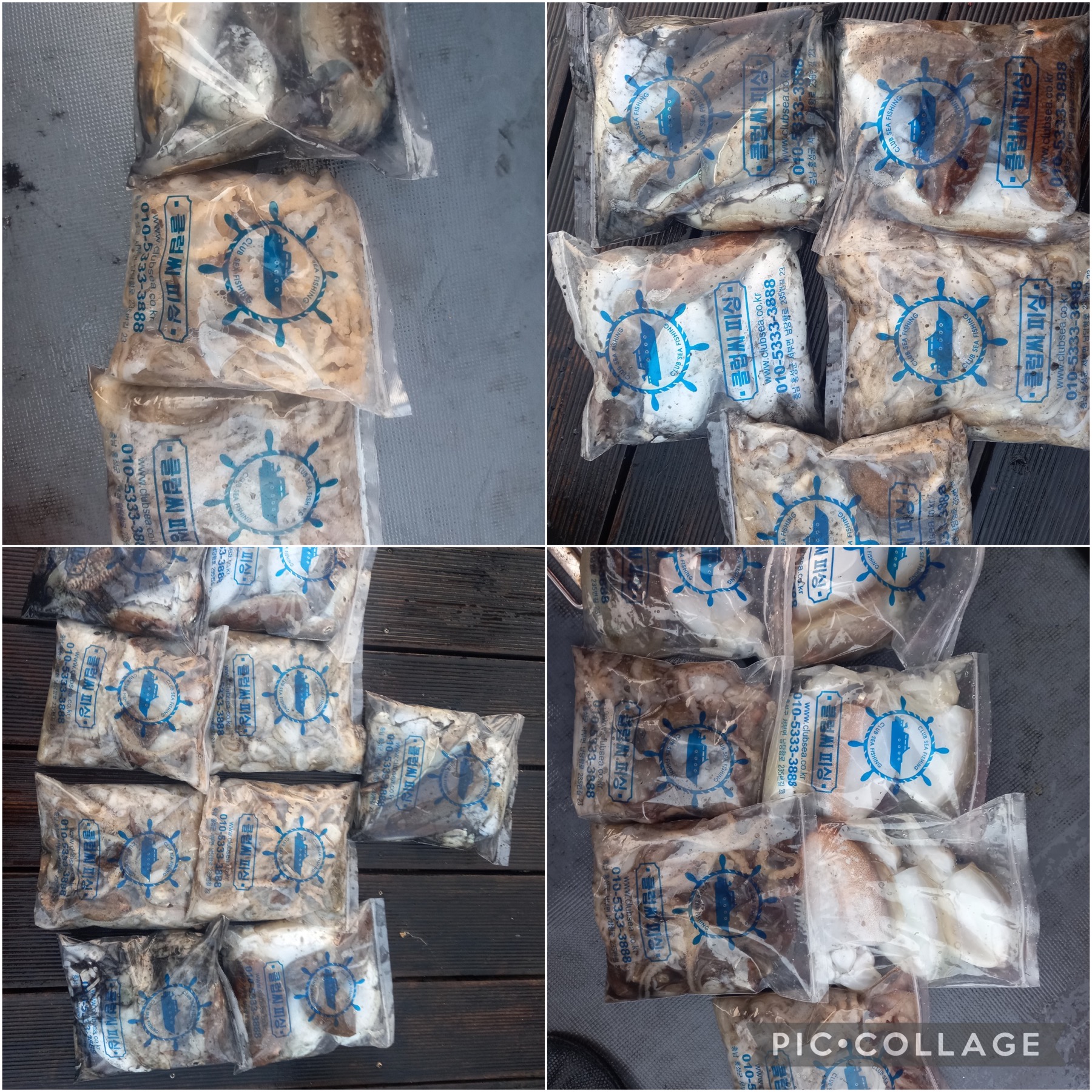 11월 01일 레드원호 주꾸미 조황