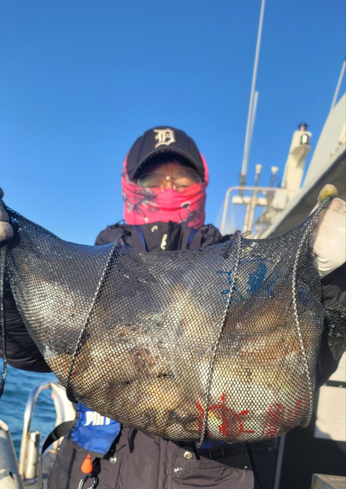 11월 2일 대성2호 쭈꾸미조황