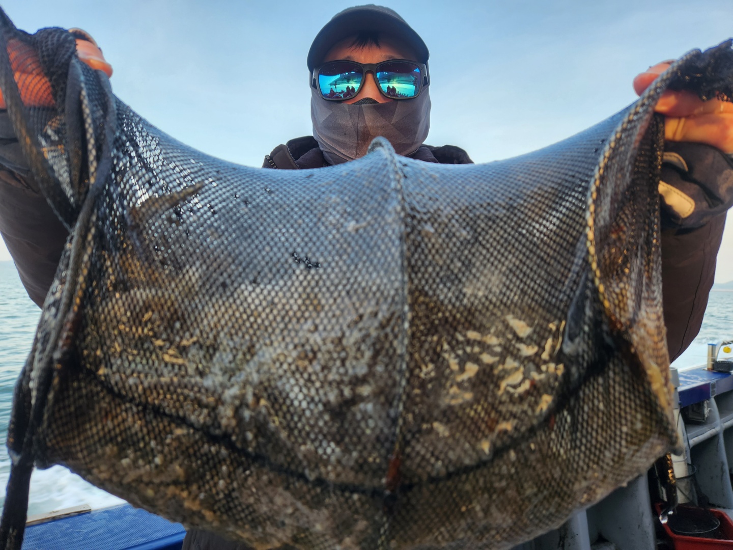 11월21일 뉴대성호 주꾸미조황