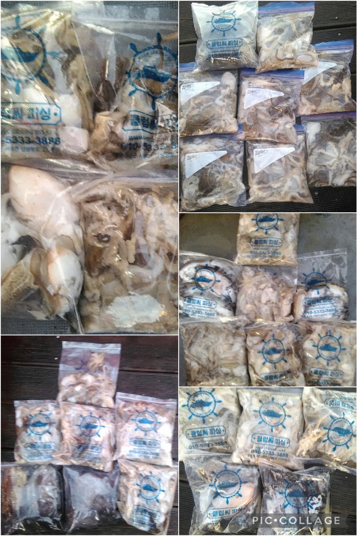 11월 02일 레드원호 주꾸미 조황