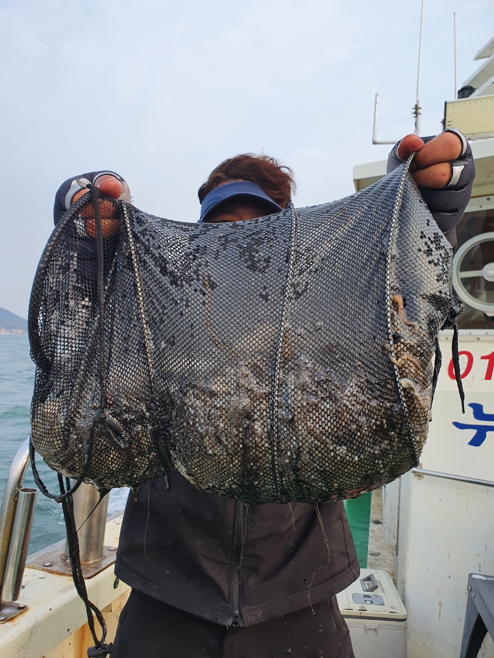 11월 3일 뉴궁리호 쭈꾸미 조황