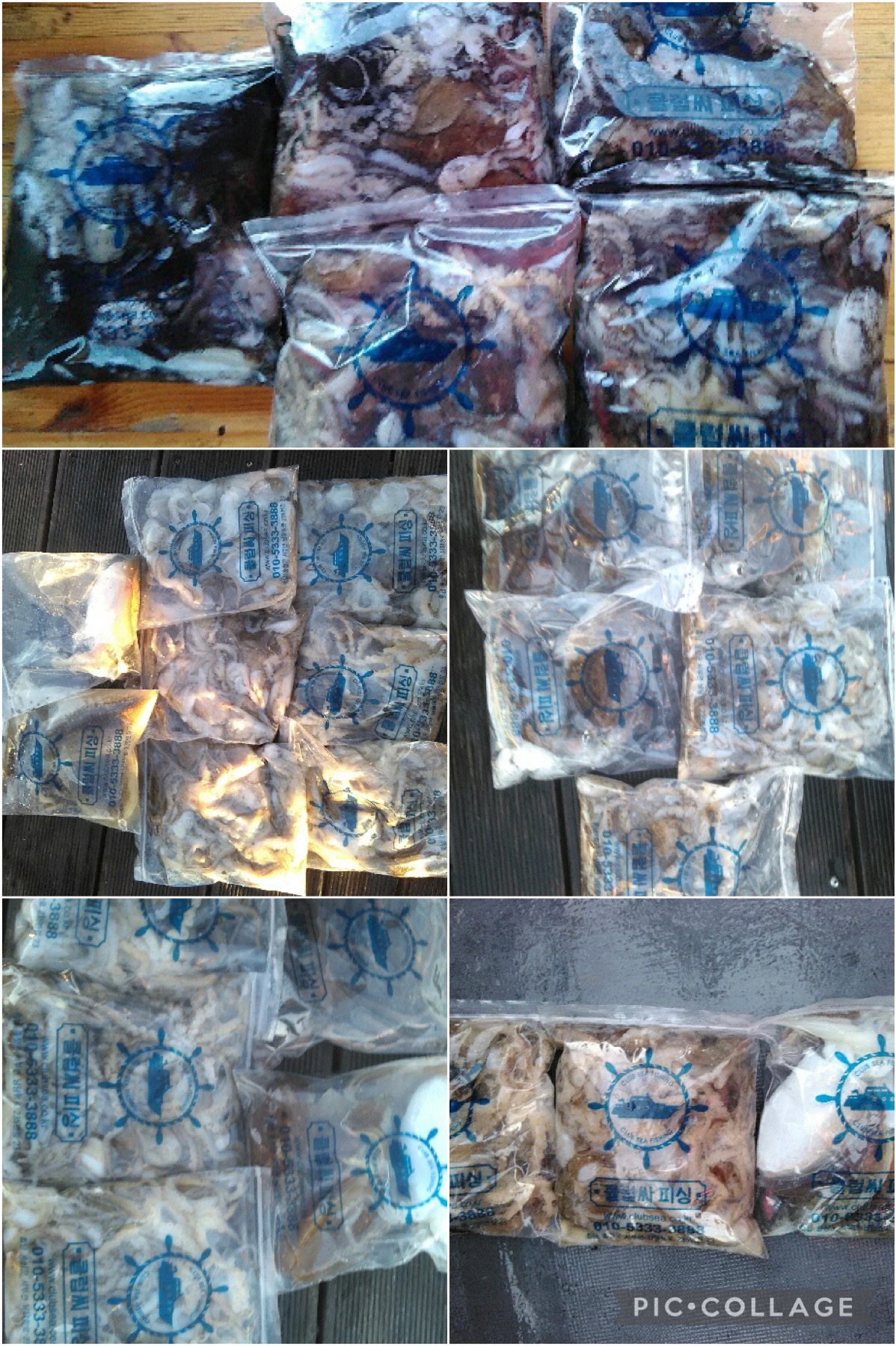 11월 05일 레드원호 주꾸미 조황