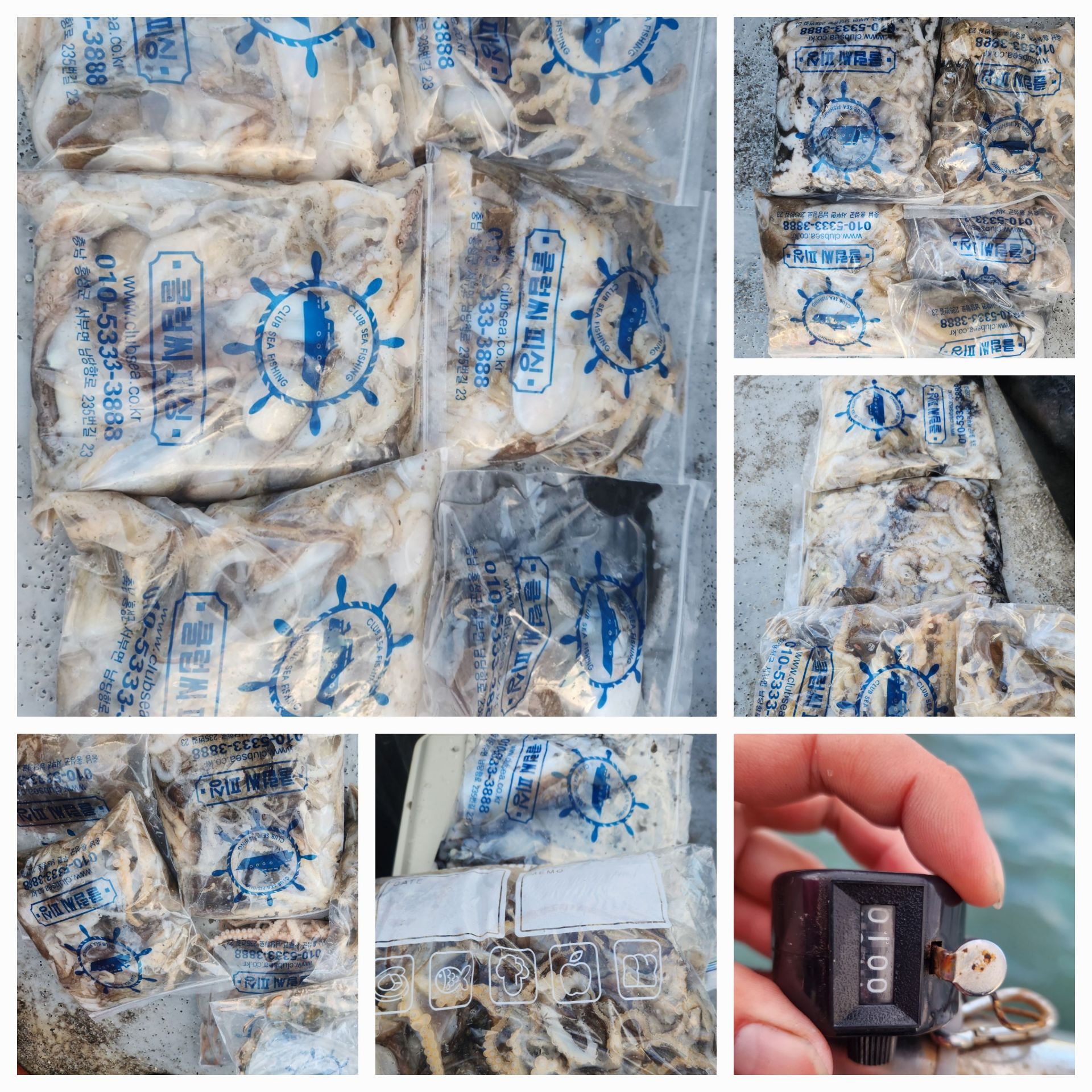 11월14일 뉴대성호 주꾸미조황