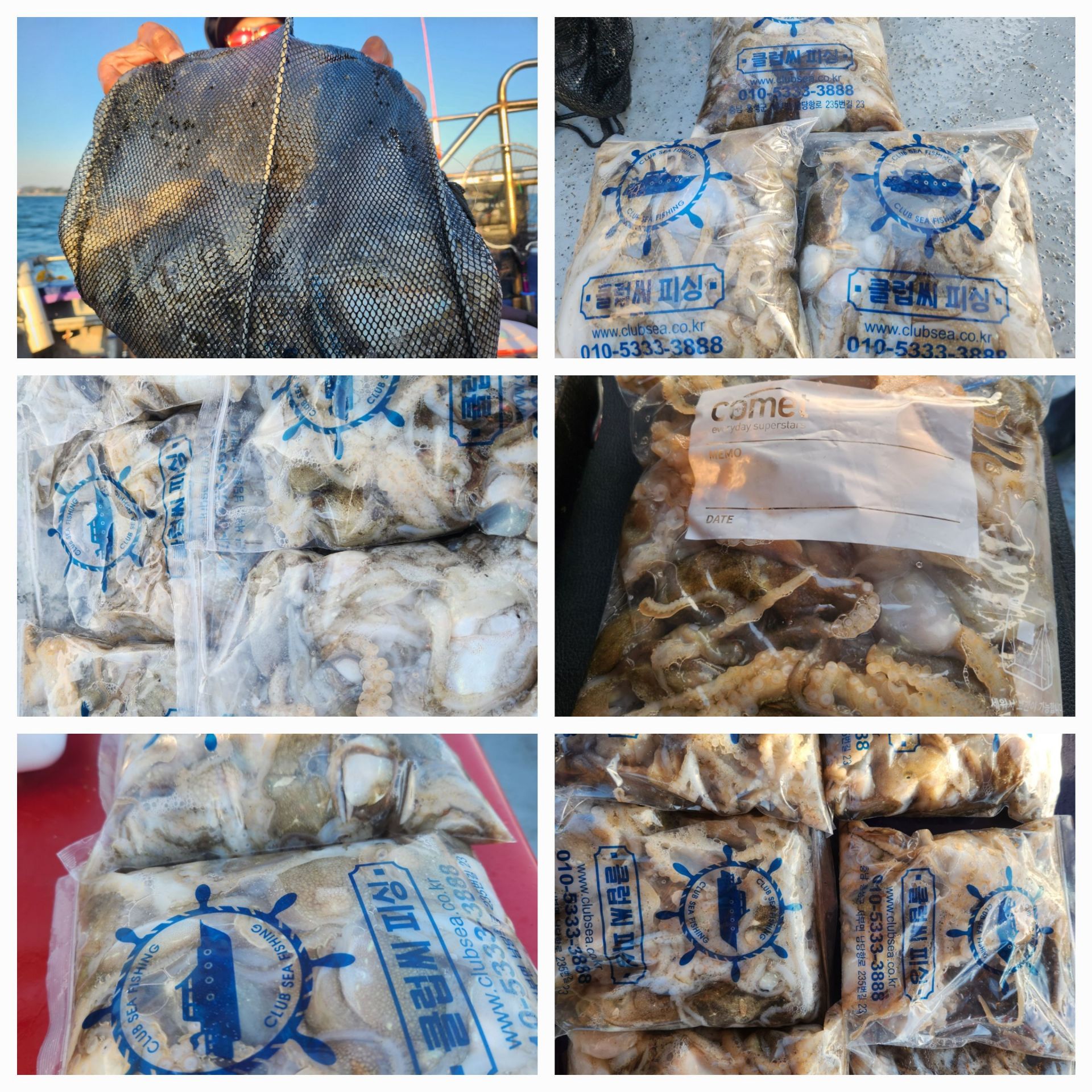 11월25일 뉴대성호 주꾸미조황