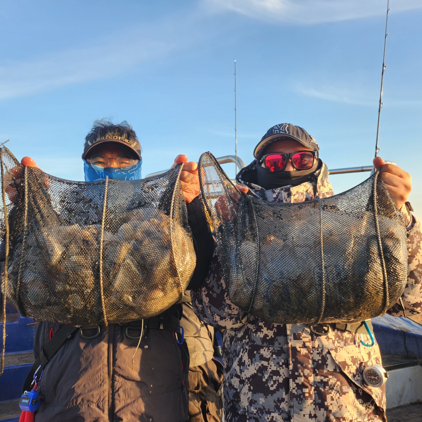 11월6일 뉴대성호 주꾸미조황