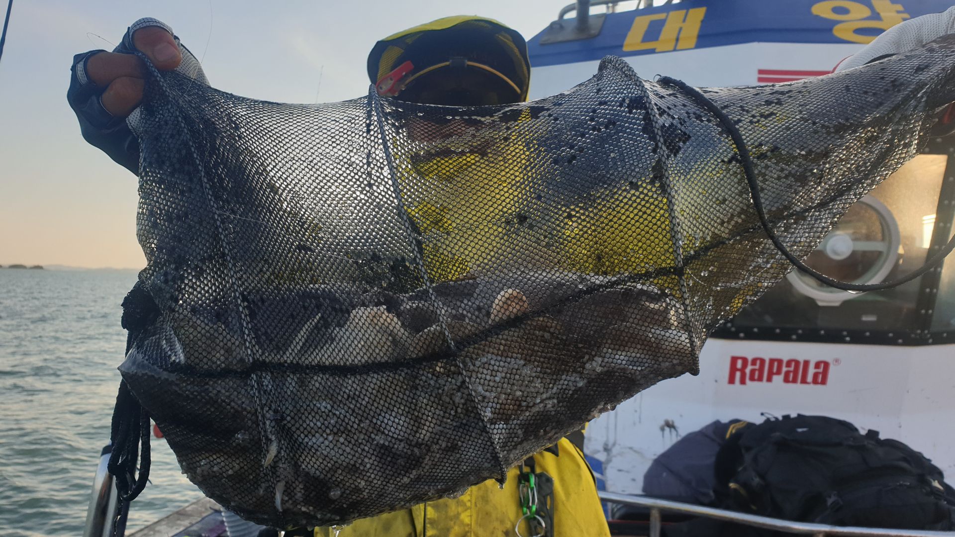 11월6일 대양호 주꾸미 조황