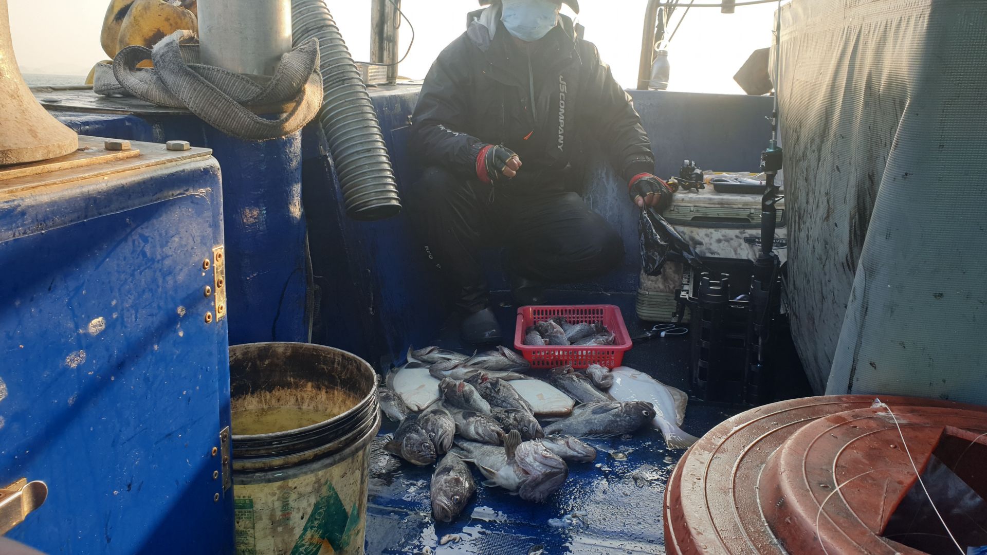 11월 8일 대양호 우럭조황