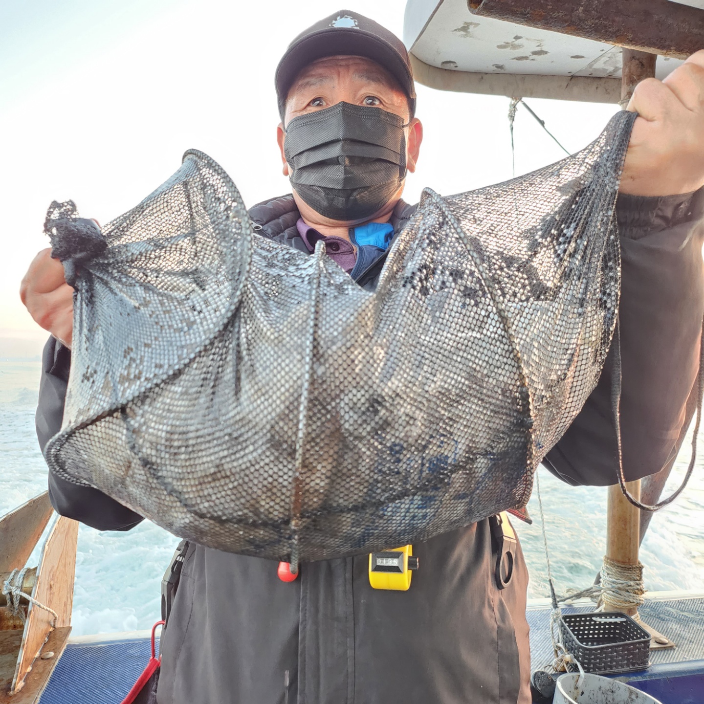 11월20일 뉴대성호 주꾸미조황