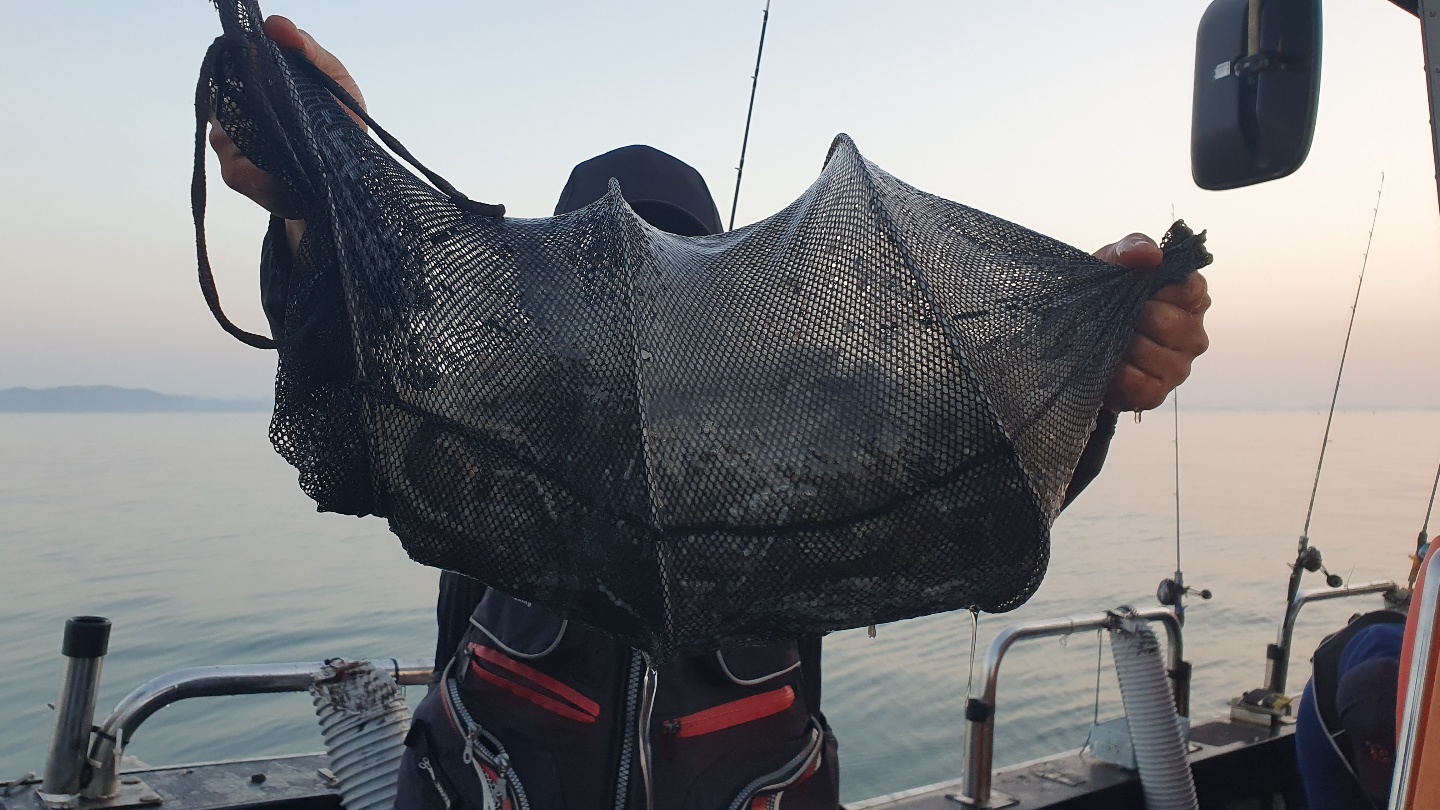 11월 11일 대성호 주꾸미조황입니다