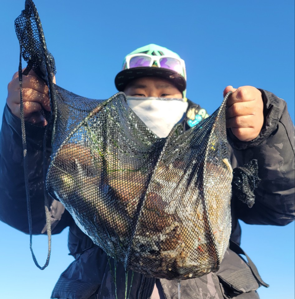 11월 5일 대성2호 쭈꾸미조황