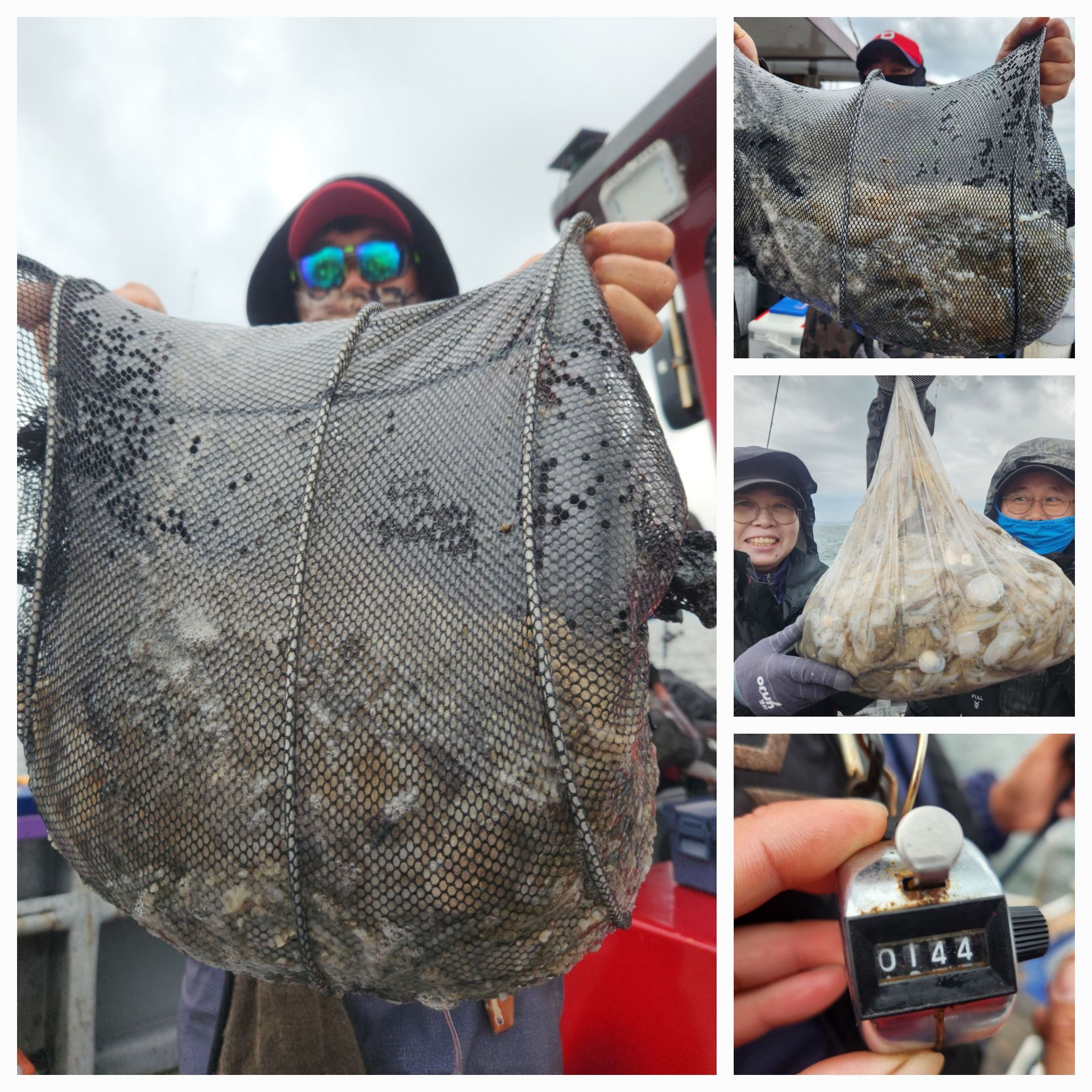 11월12일 뉴대성호 주꾸미조황