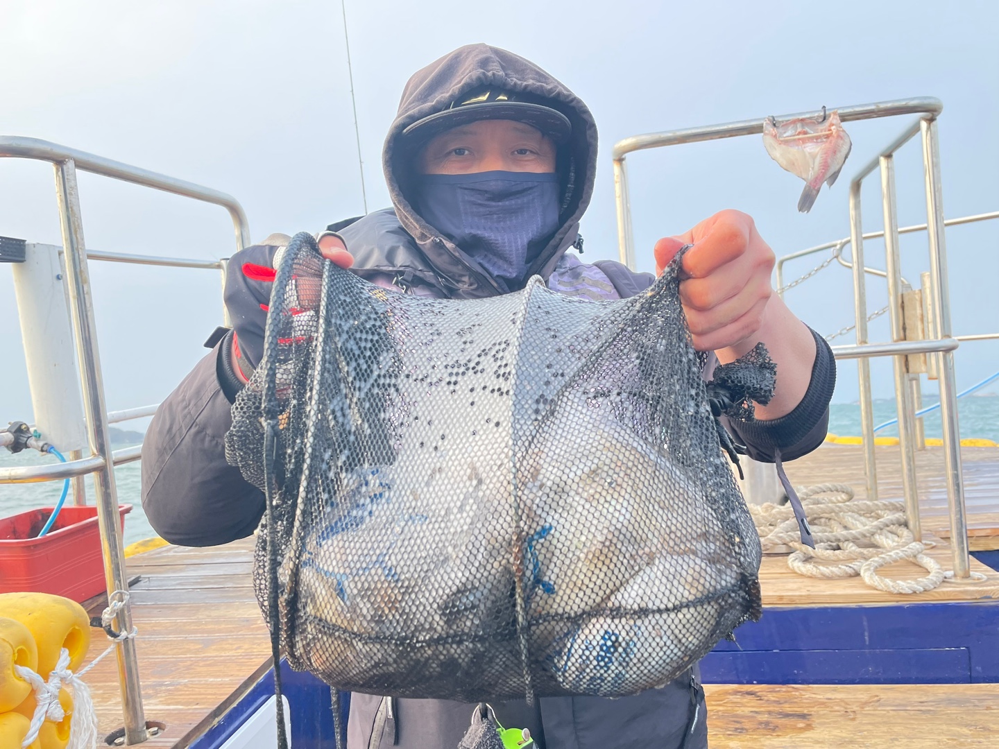 11월3일 블루원호 주꾸미조황