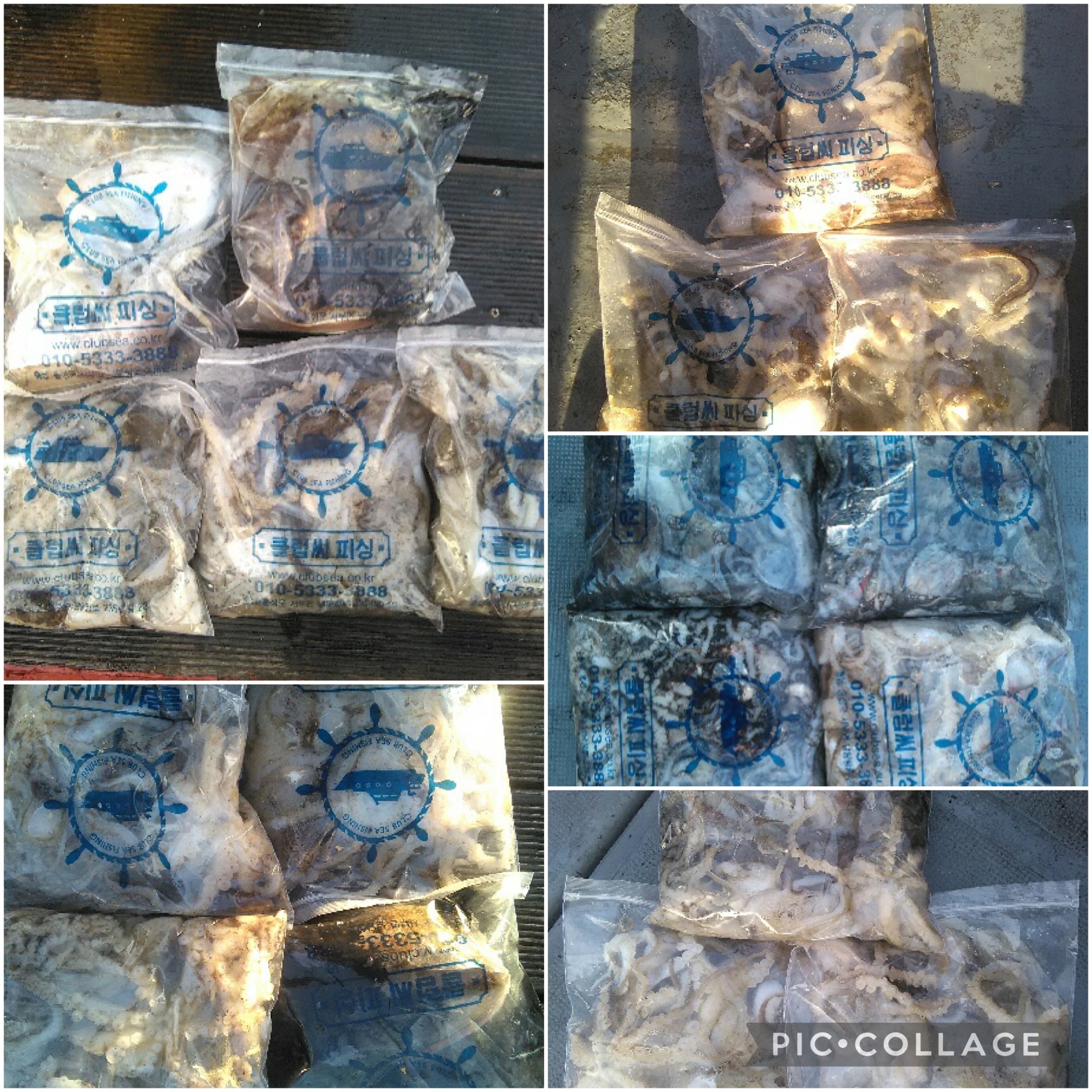 11월 06일 레드원호 주꾸미 조황