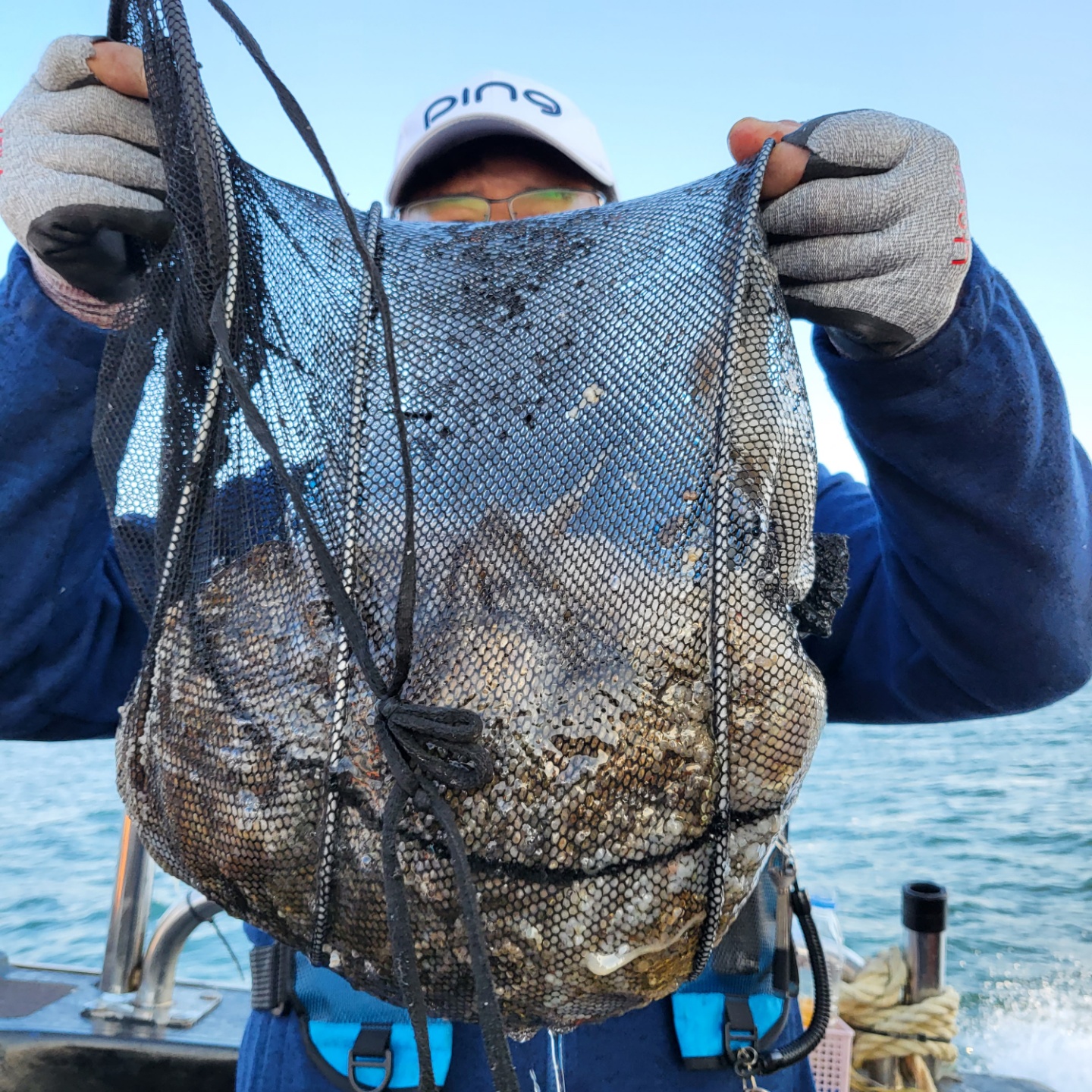 11월 17일 대성호 주꾸미조황입니다