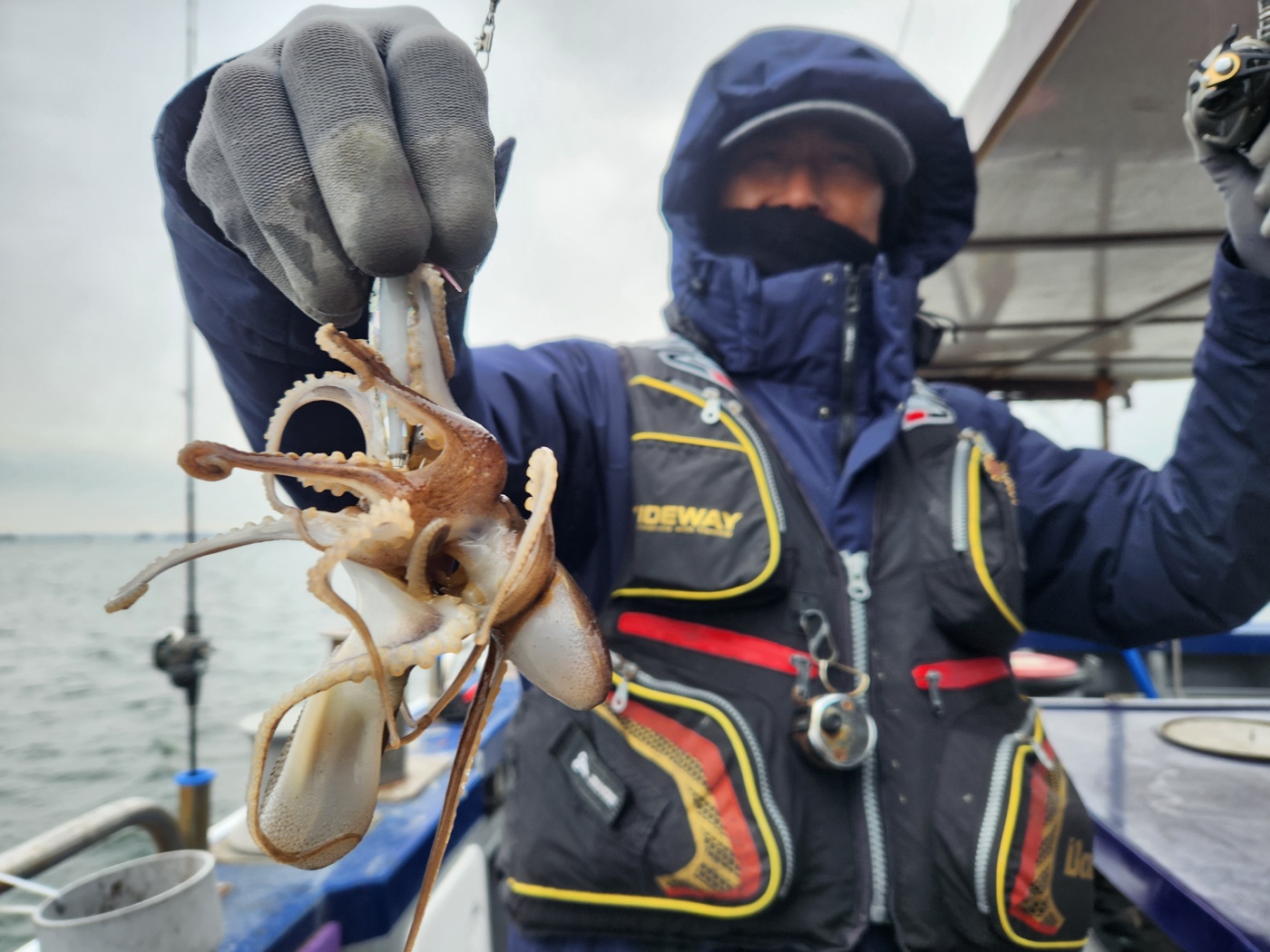 12월10일 뉴대성호 주꾸미조황