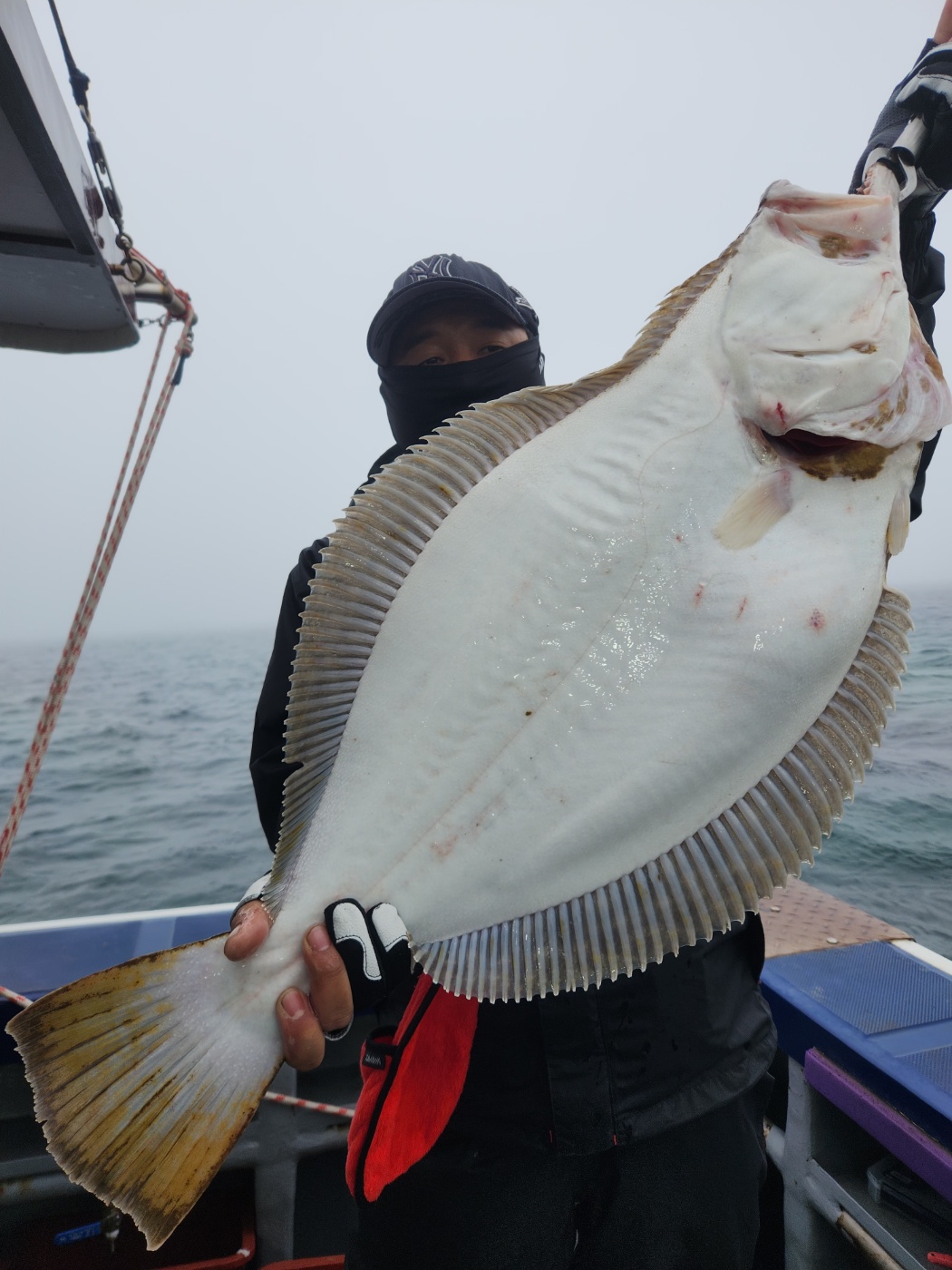 4월29일 뉴대성호 내만우럭조황