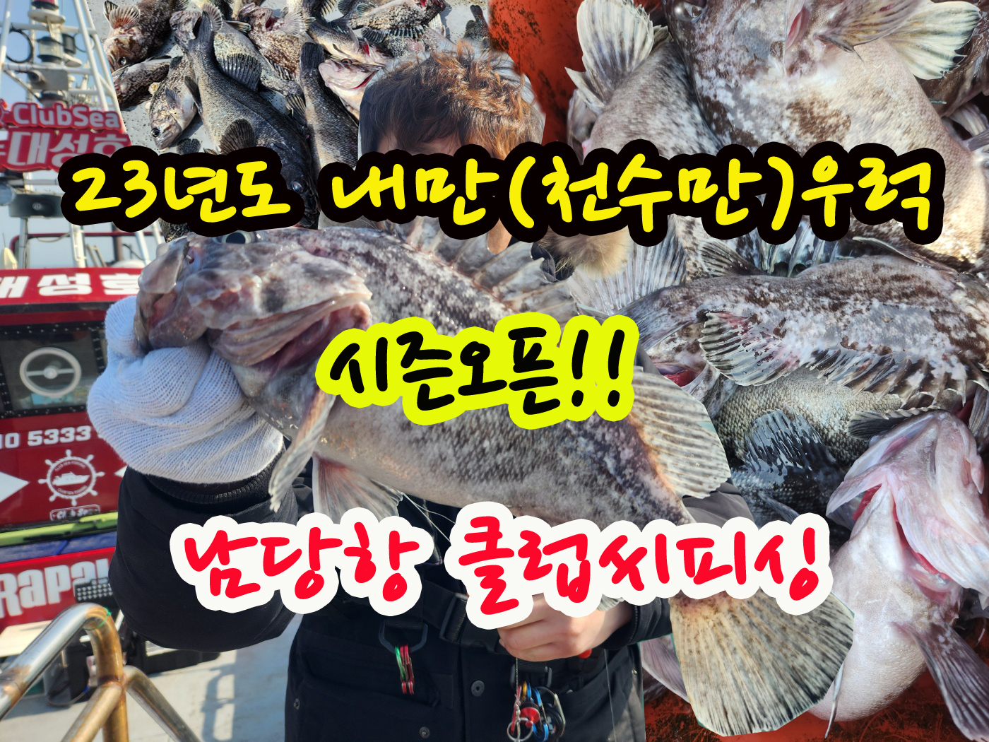 23년도 봄 우럭 랜딩영상입니다! (4월2일 뉴대성호 내만우럭조황)