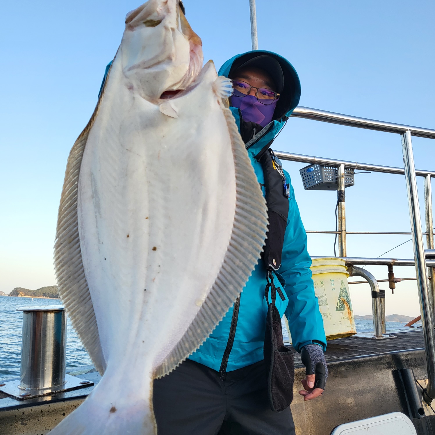 4월 8일 대성호 광어다운샷탐사 실시간입니다