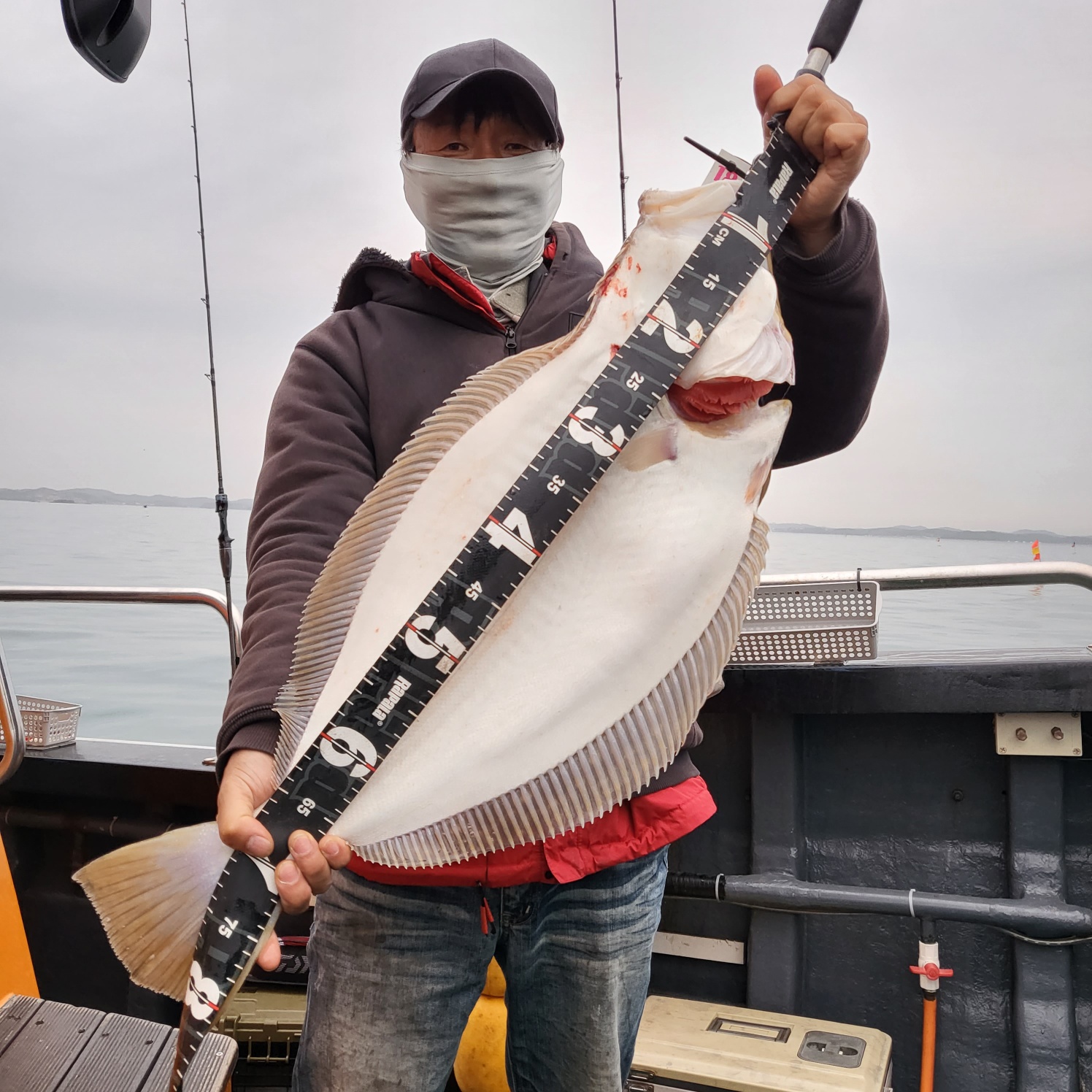 4월 23일 대성호 광어다운샷 조황입니다