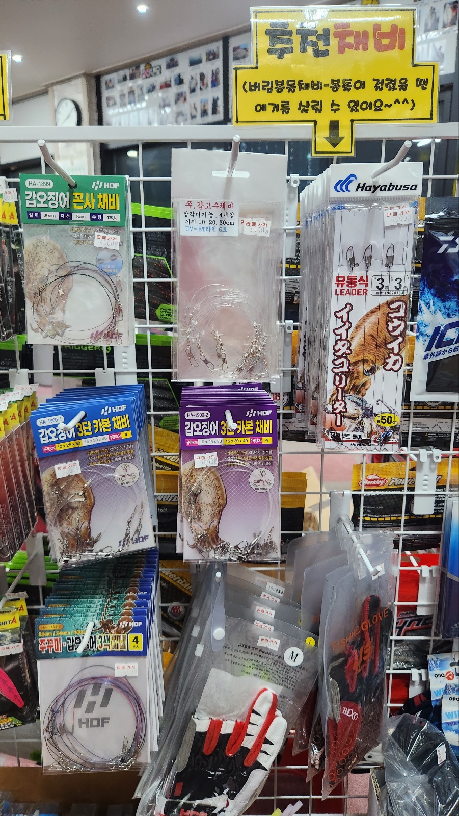 5월 봄 갑오징어 탐사오시는 분들을 위한