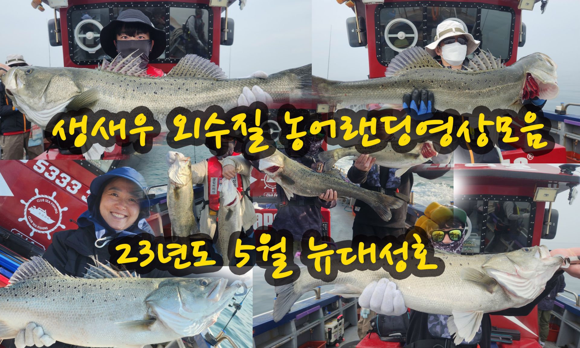 뉴대성호 농어랜딩영상입니다.(6월 외수질 기대해주세요)