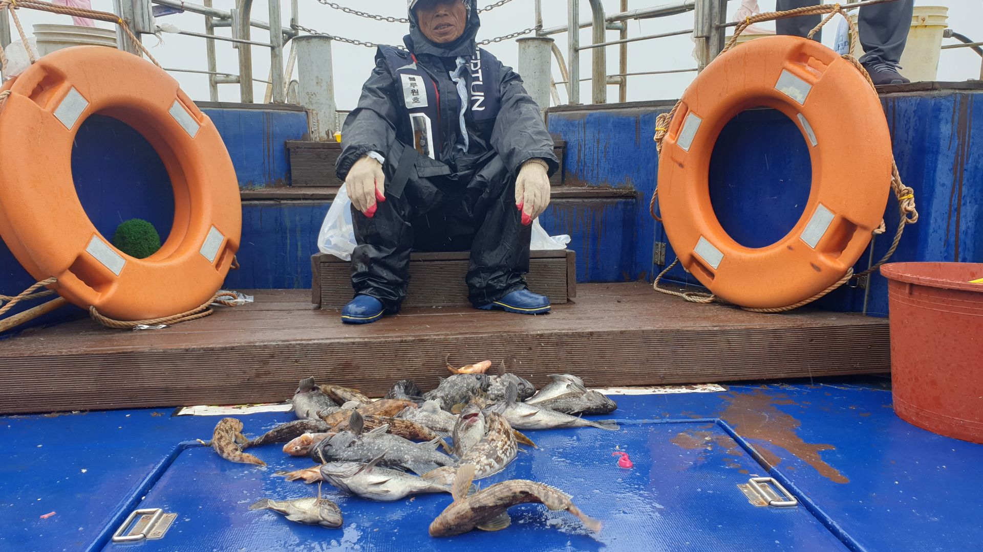 5월27일 대양호 우럭조황