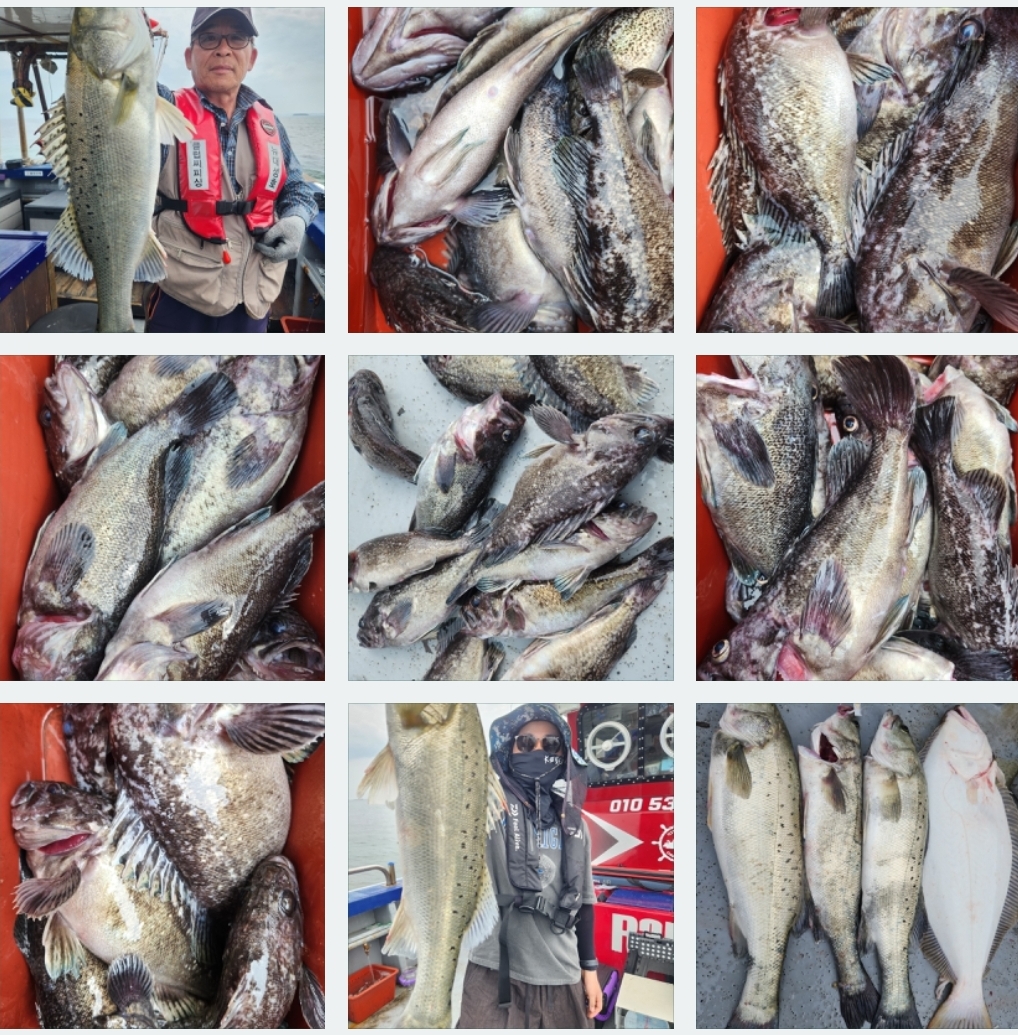 5월30일 뉴대성호 다잡아외수질조황