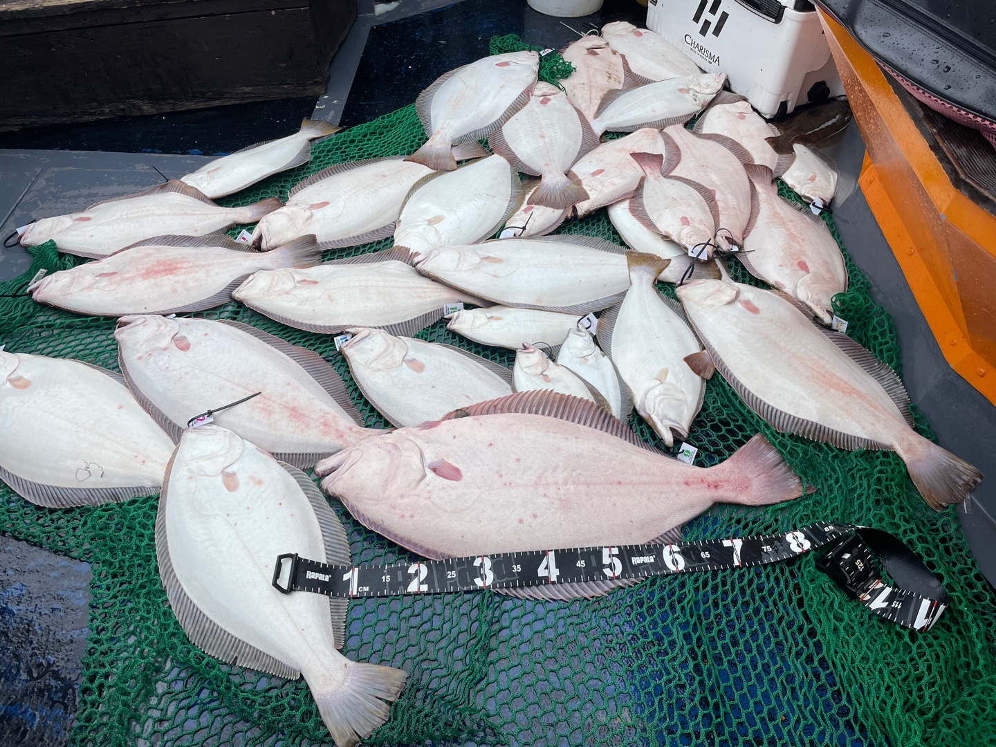 5월 27일 대성호 광어다운샷조황입니다