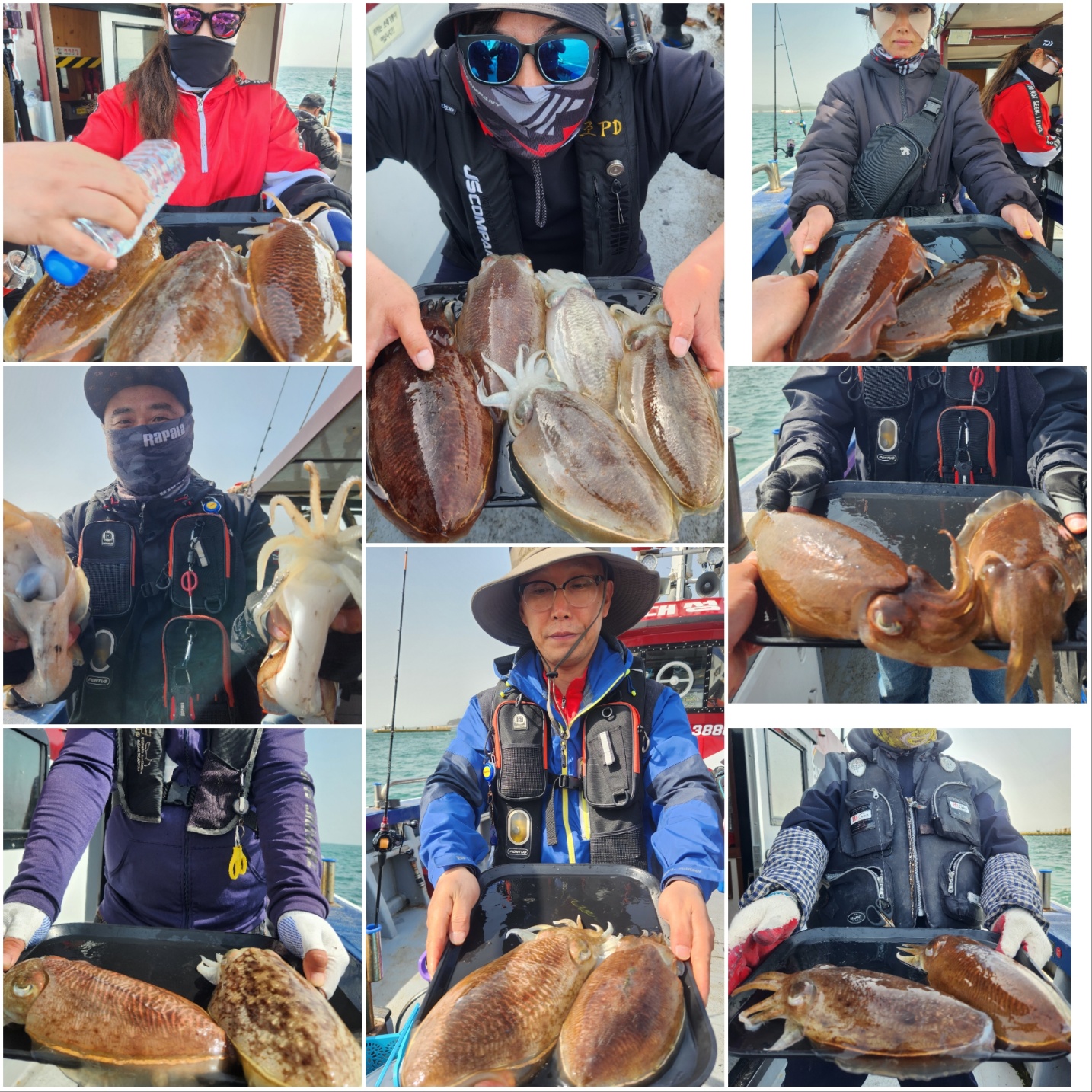 5월 22일 블루원호 첫 갑오징어조황입니다.