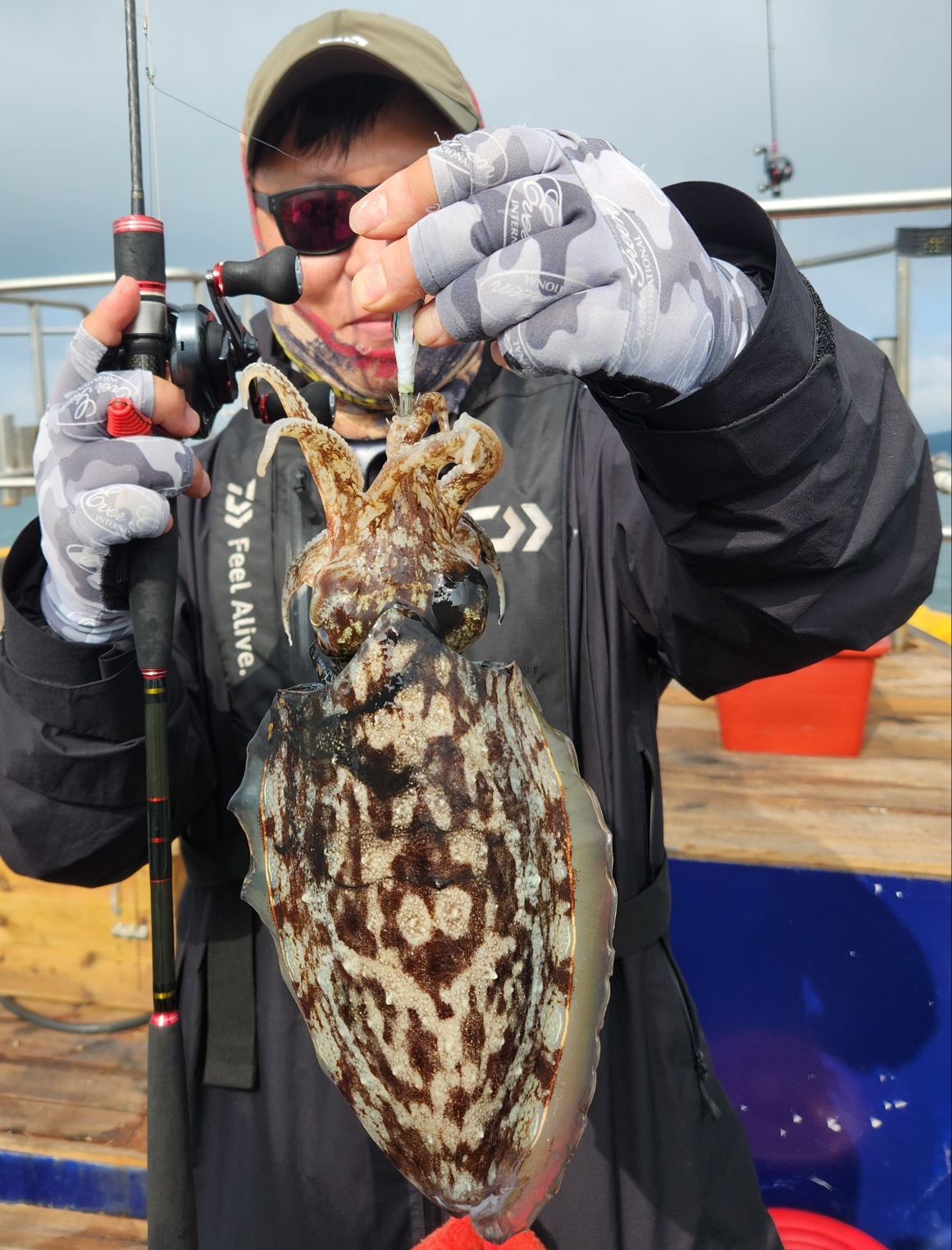 6월 22일 블루원 갑오징어(오전반) 조황