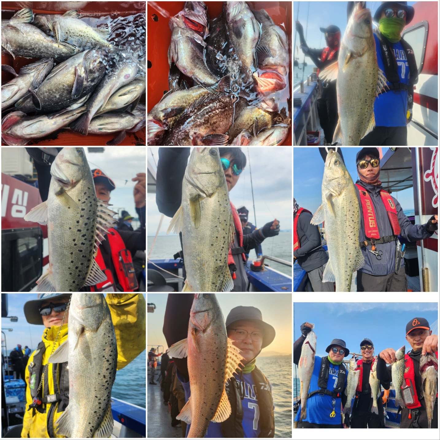 6월4일 뉴대성호 농어외수질 조황