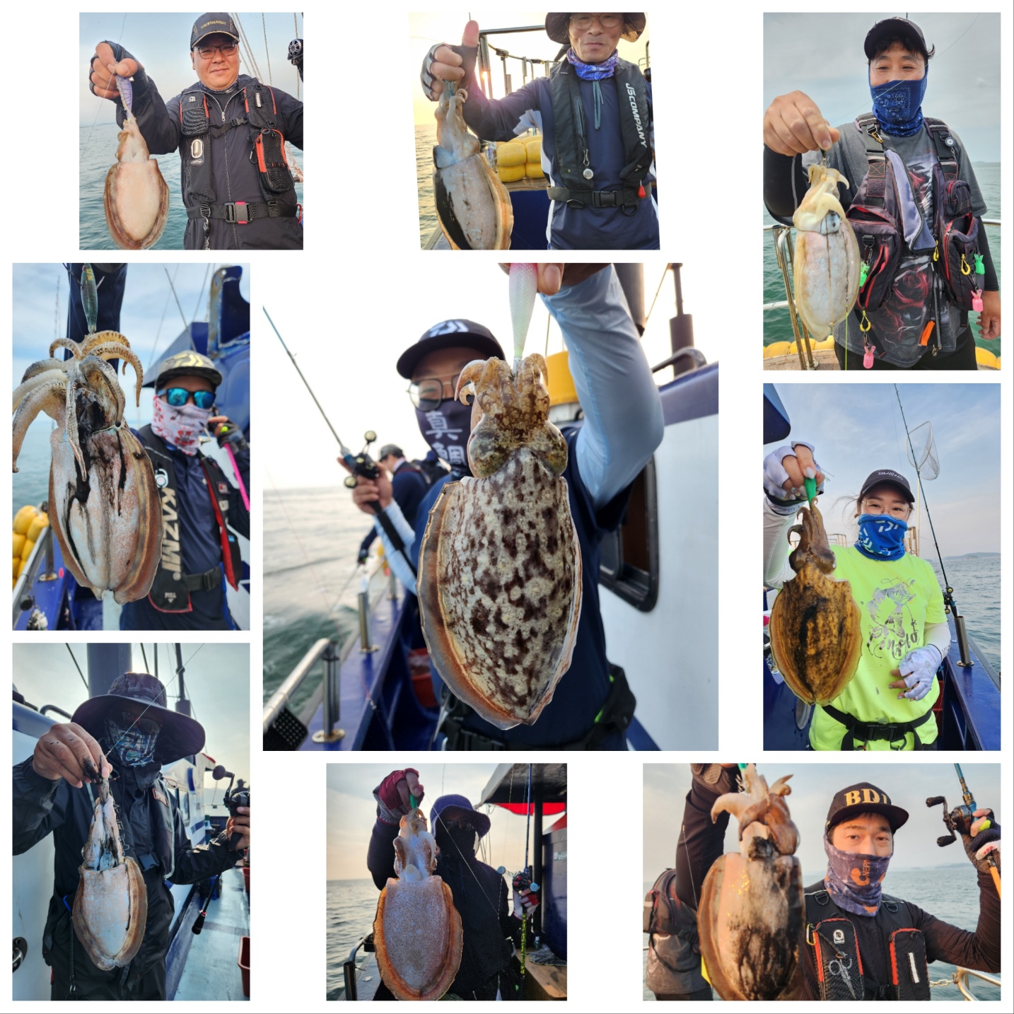 6월25일 블루원 갑오징어 조황